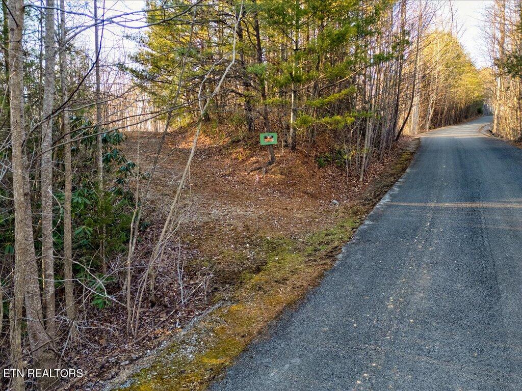 Lot 31 Sonshine Ridge Road Cosby TN 37722