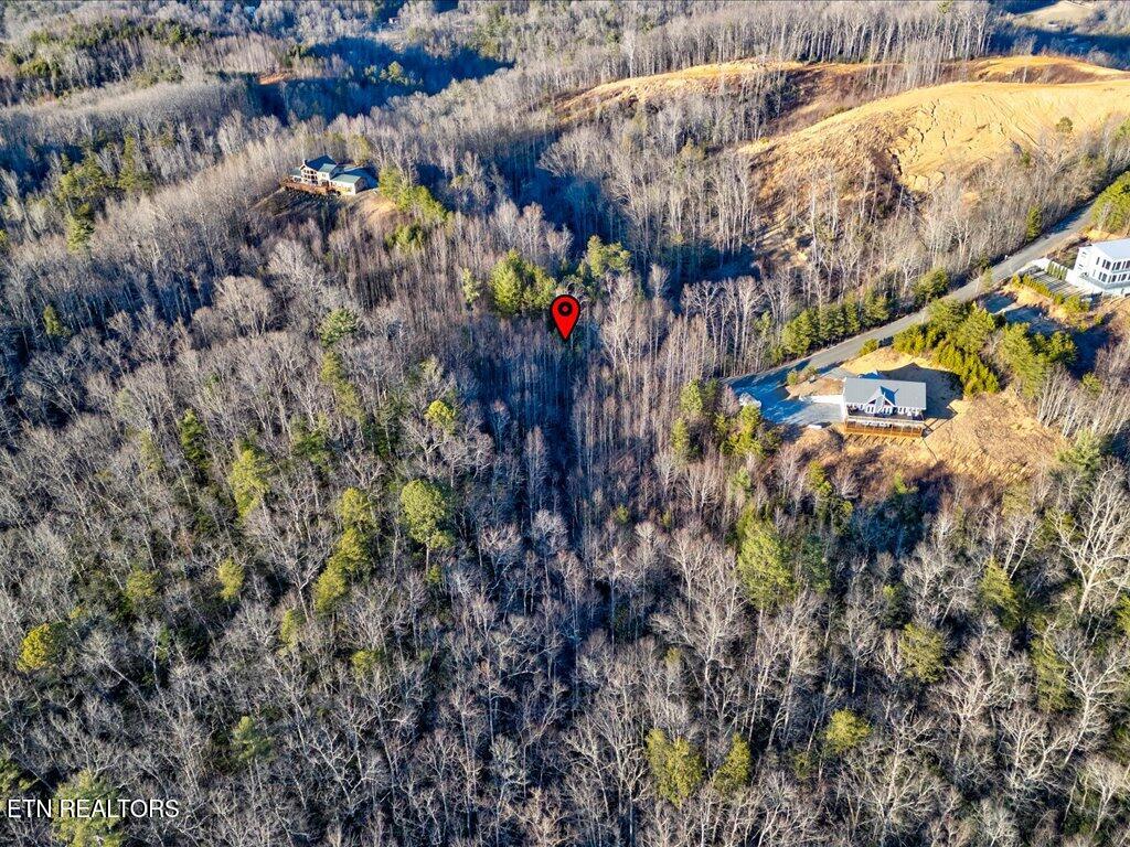 Lot 31 Sonshine Ridge Road Cosby TN 37722