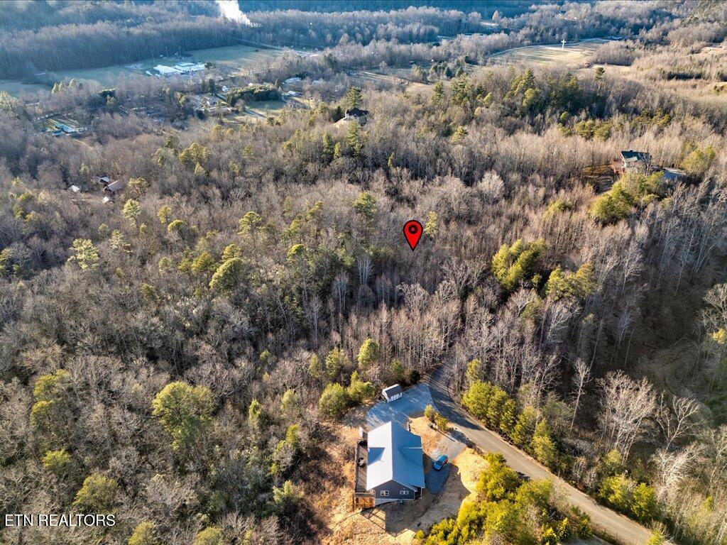 Lot 31 Sonshine Ridge Road Cosby TN 37722