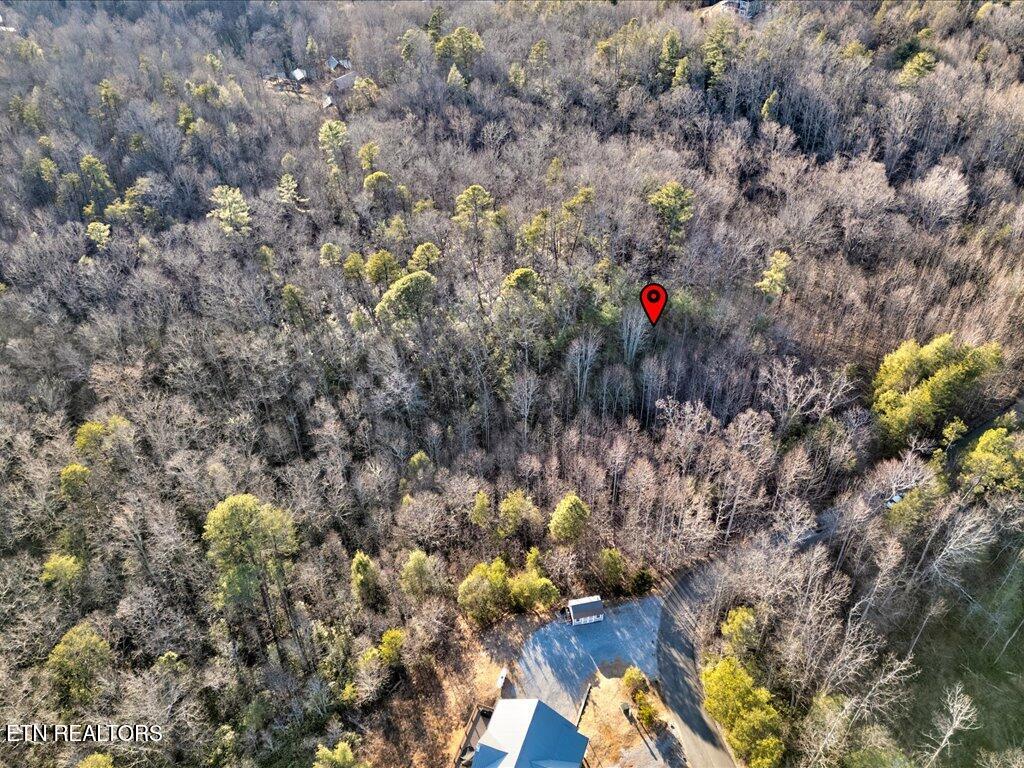 Lot 31 Sonshine Ridge Road Cosby TN 37722