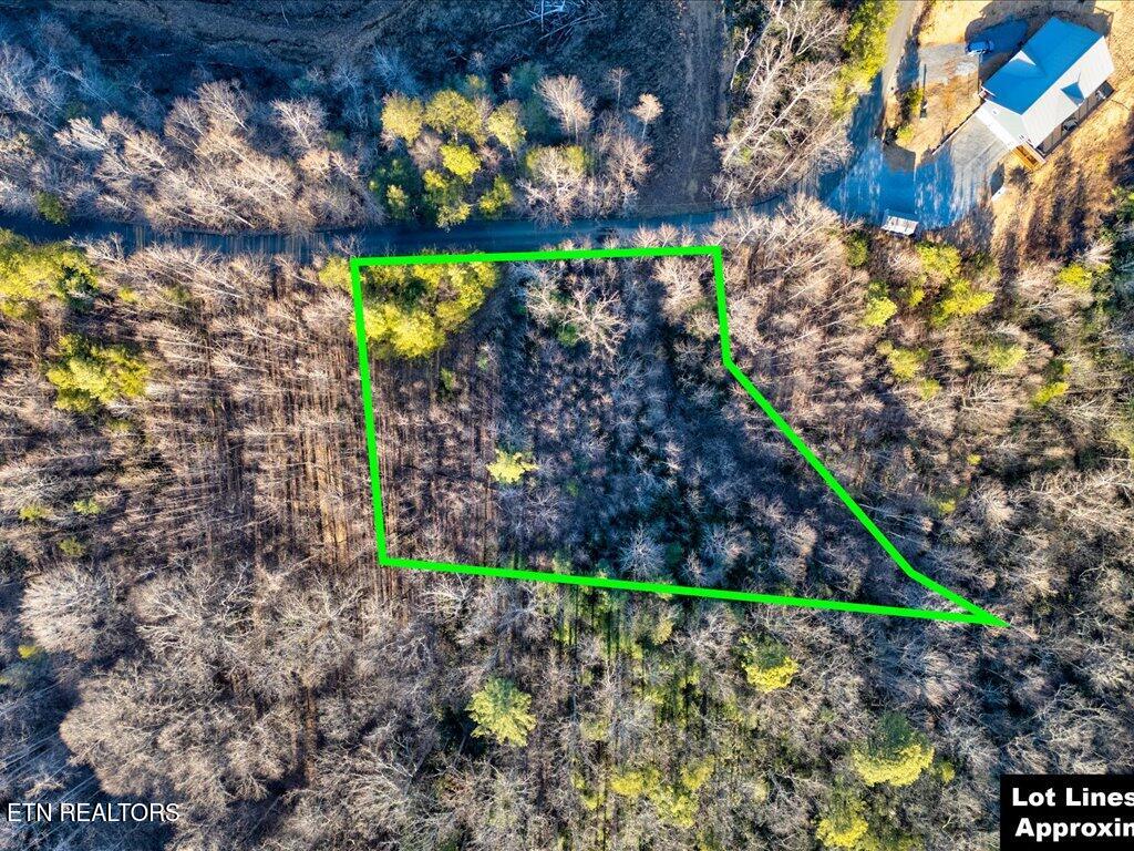 Lot 31 Sonshine Ridge Road Cosby TN 37722