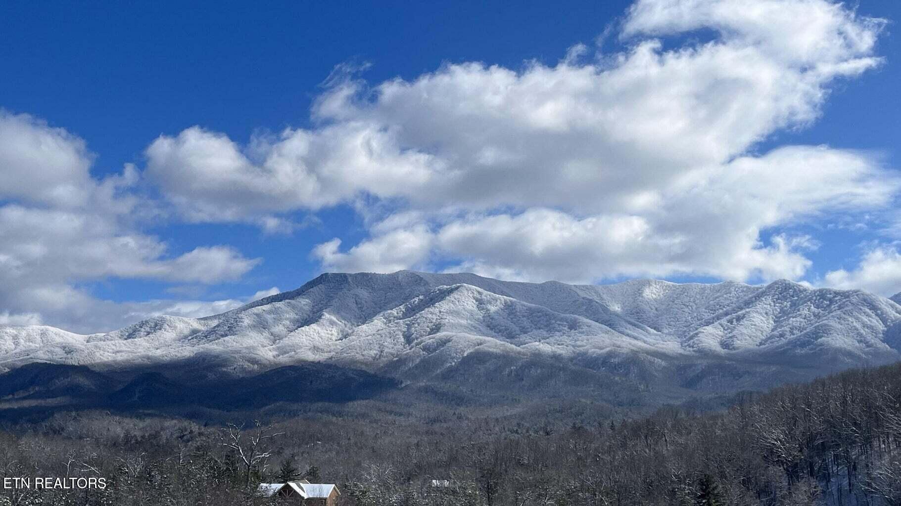 Lot 31 Sonshine Ridge Road Cosby TN 37722