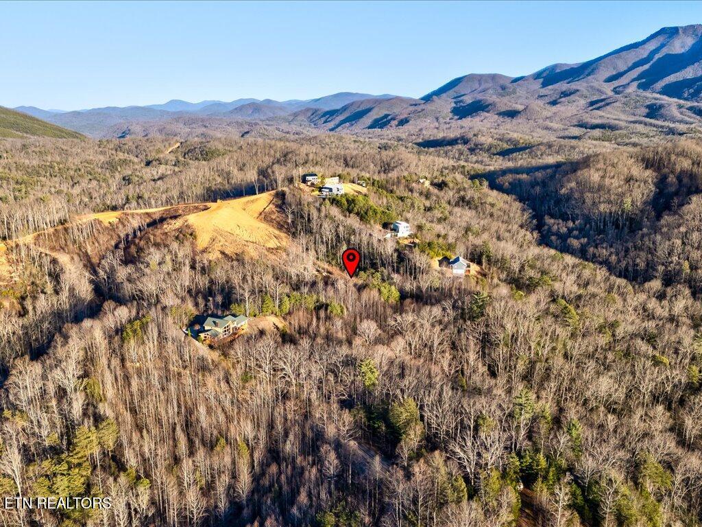 Lot 31 Sonshine Ridge Road Cosby TN 37722