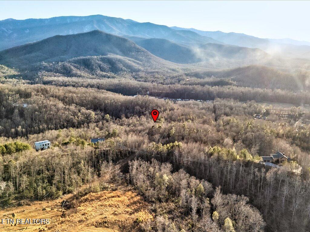 Lot 31 Sonshine Ridge Road Cosby TN 37722