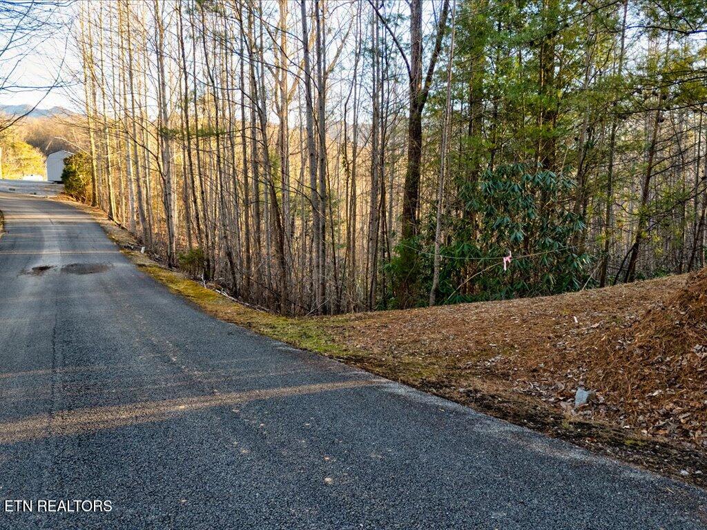 Lot 31 Sonshine Ridge Road Cosby TN 37722