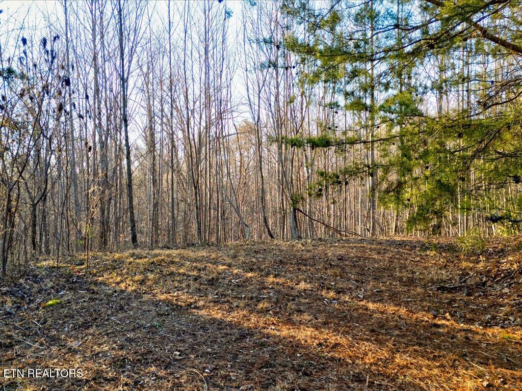 Lot 31 Sonshine Ridge Road Cosby TN 37722
