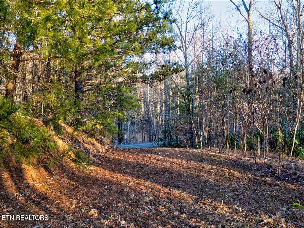 Lot 31 Sonshine Ridge Road Cosby TN 37722