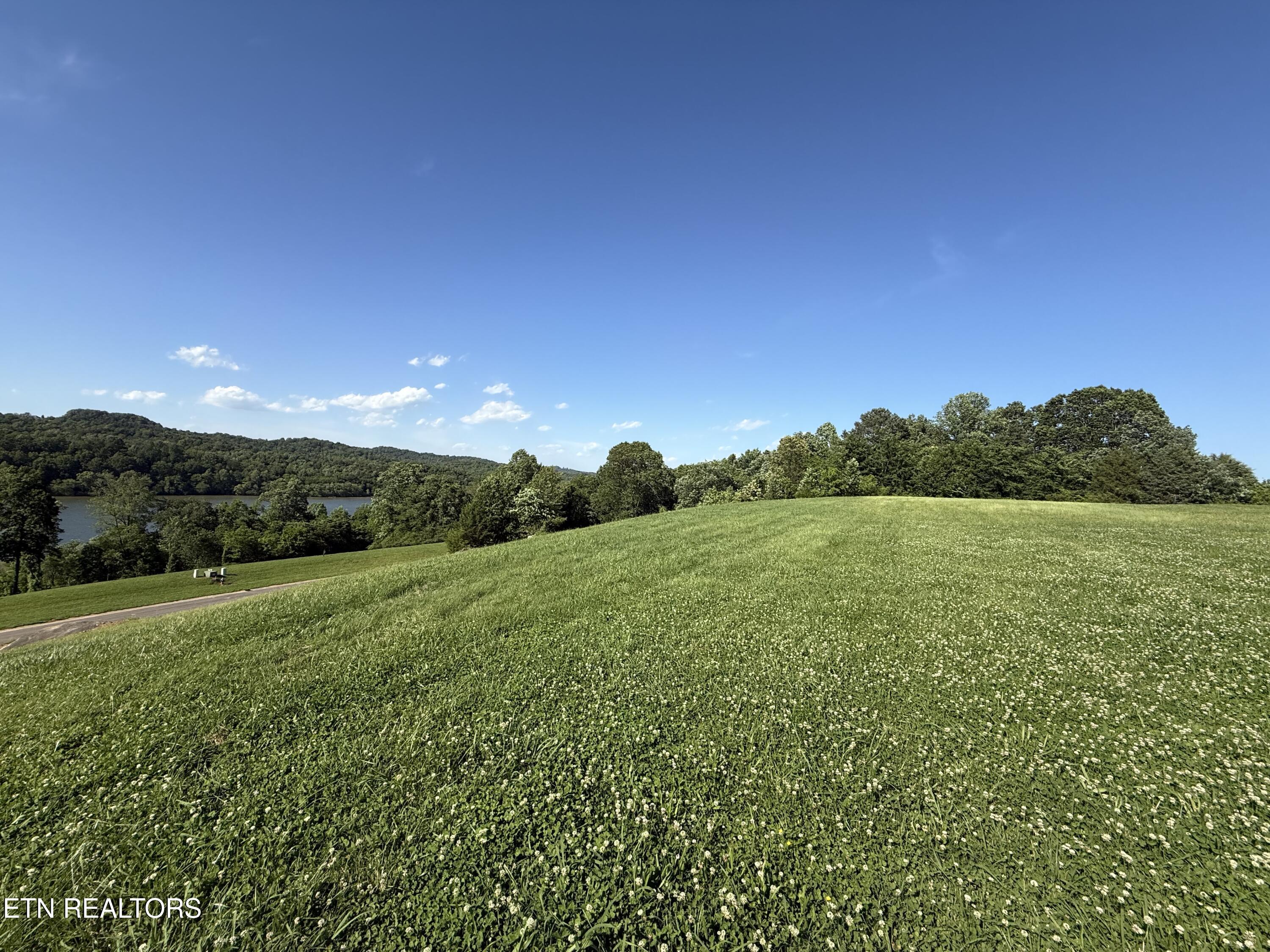 2533 Persimmon Ridge (RDG) Loudon TN 37774