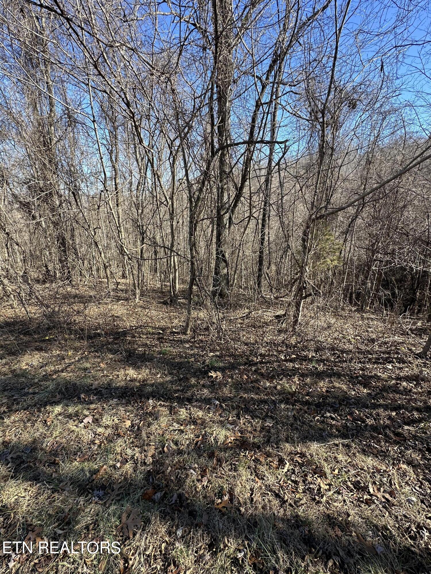 Bob Wright Lot 18 Road Maynardville TN 37807