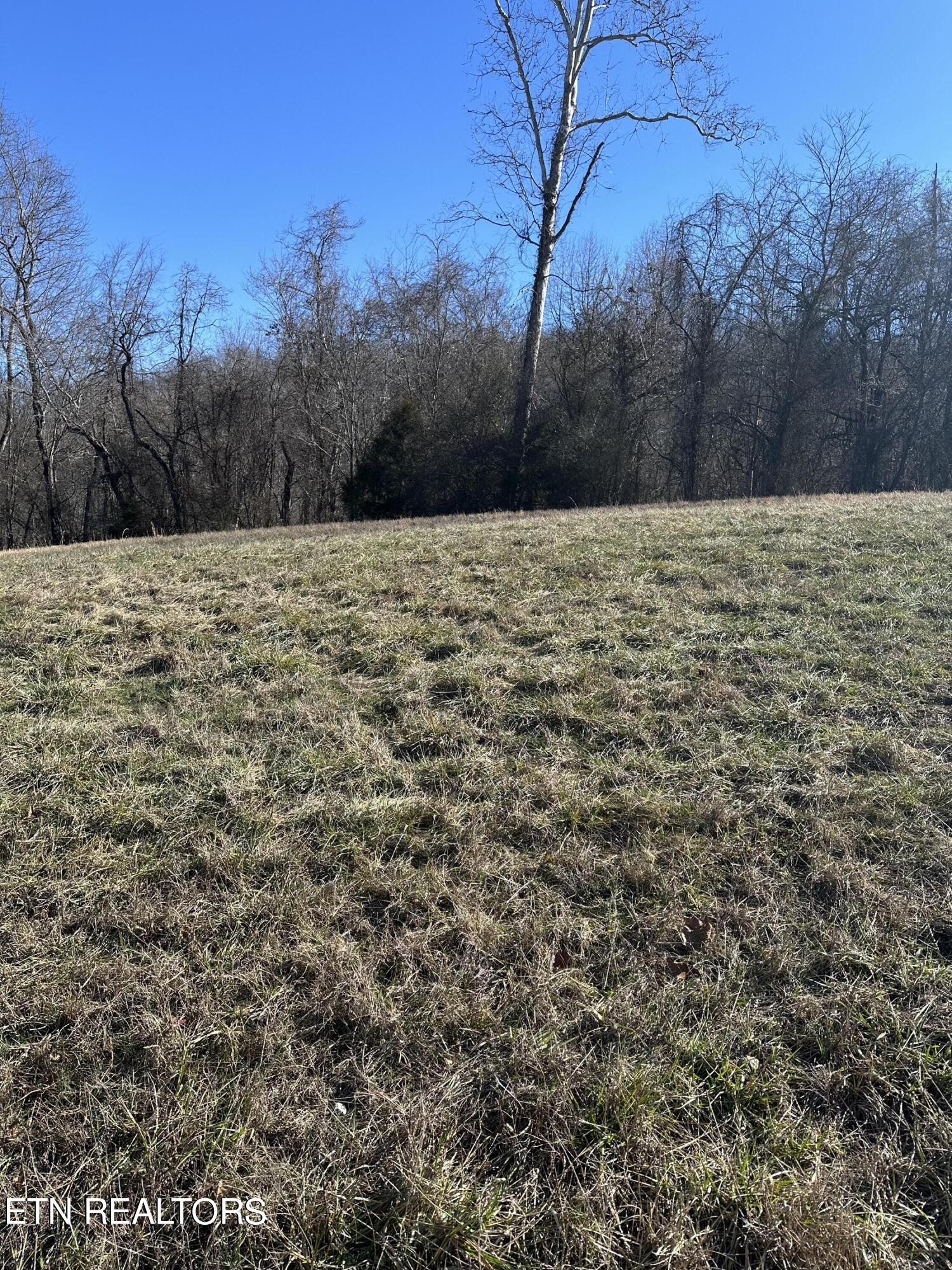Bob Wright Lot 18 Road Maynardville TN 37807