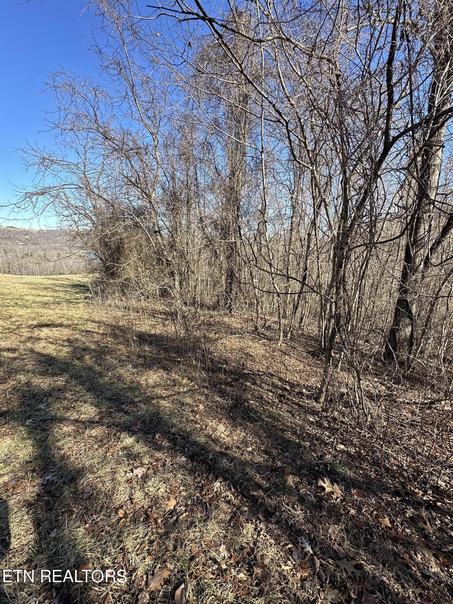 Bob Wright Lot 18 Road Maynardville TN 37807