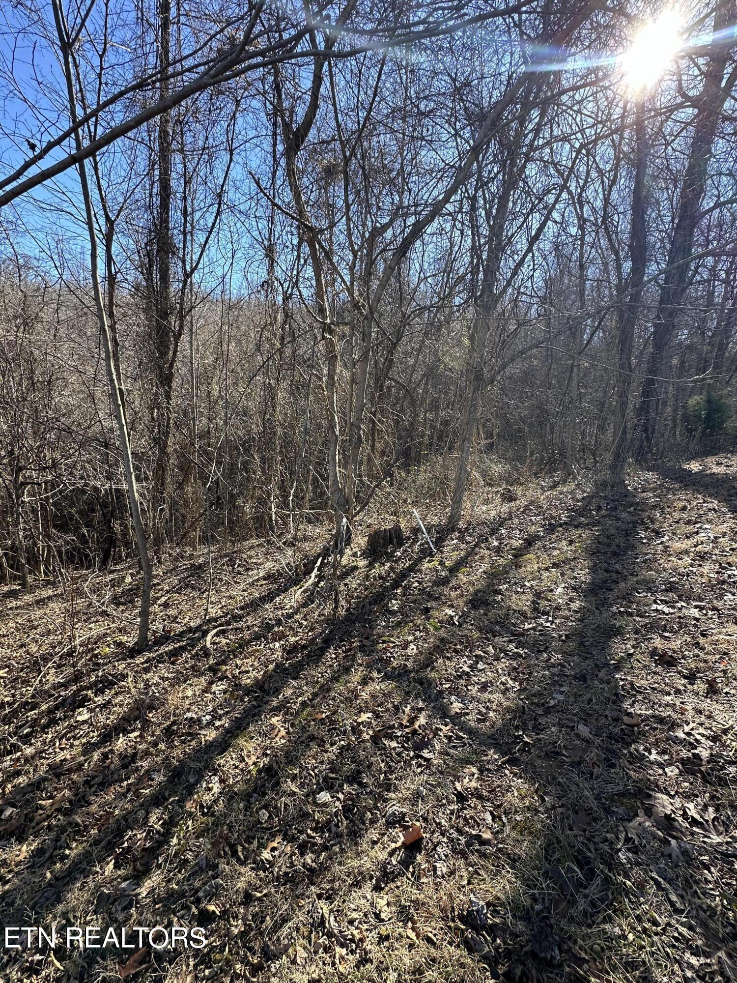 Bob Wright Lot 18 Road Maynardville TN 37807