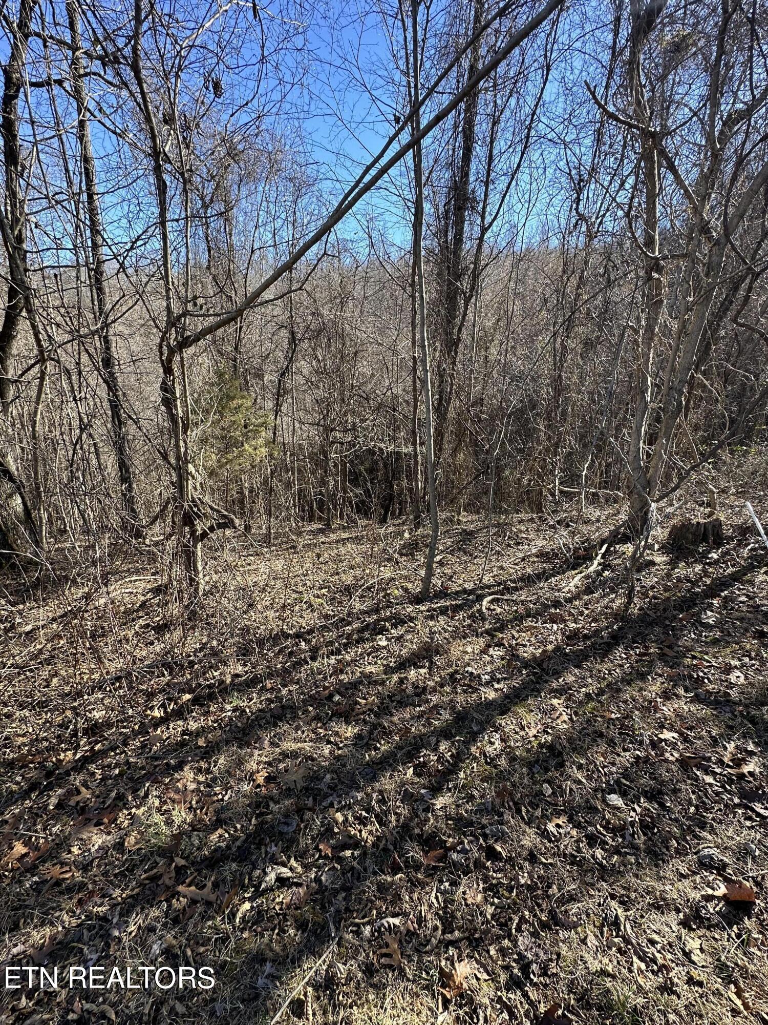 Bob Wright Lot 18 Road Maynardville TN 37807