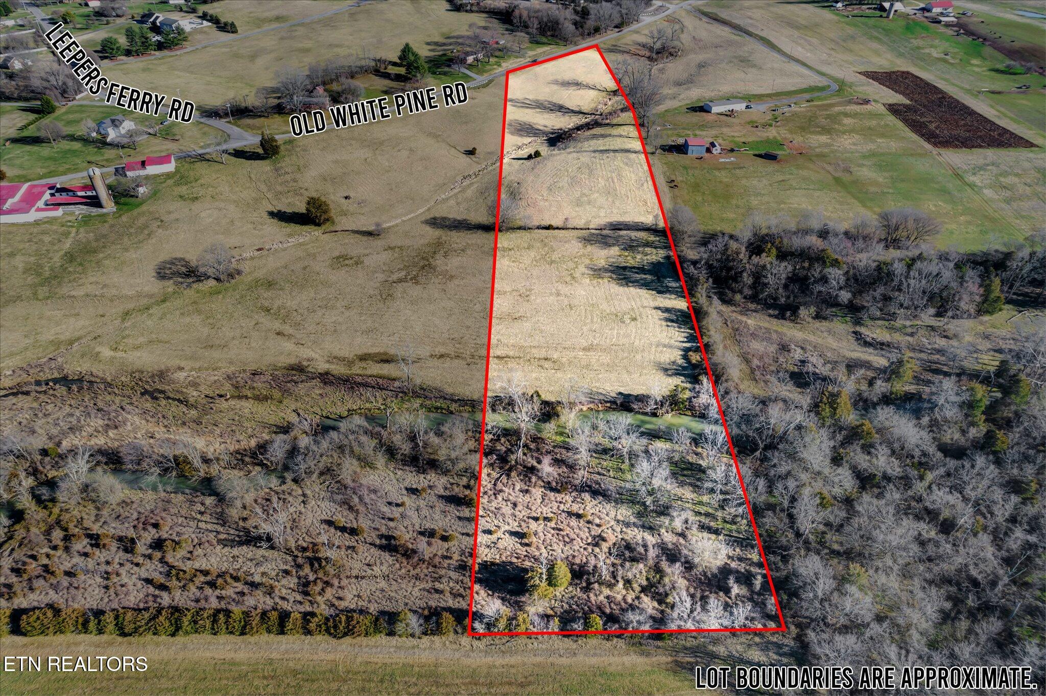 5938 Old White Pine Road White Pine TN 37890