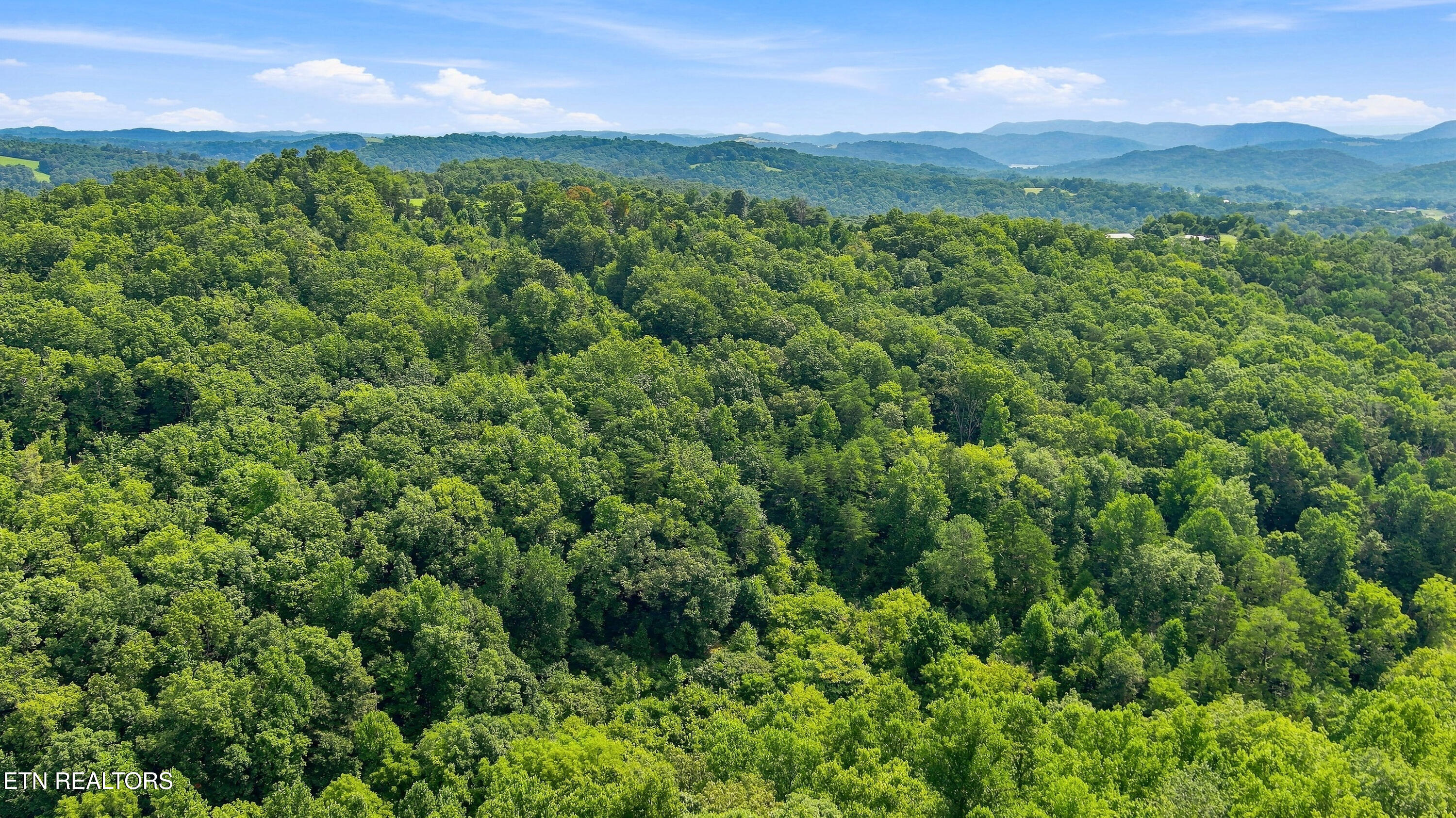 Brewer Hollow Road Sharps Chapel TN 37866