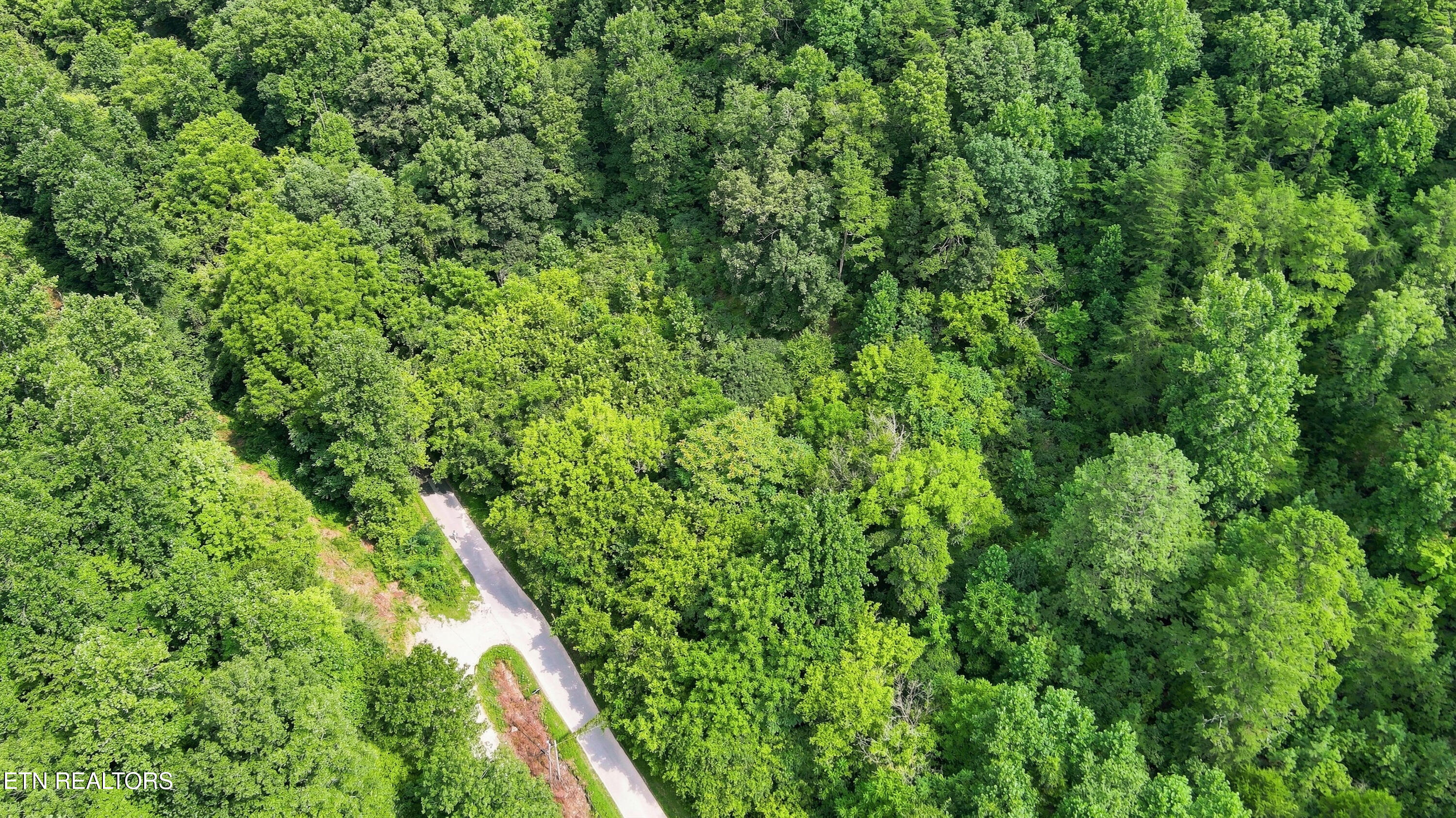 Brewer Hollow Road Sharps Chapel TN 37866