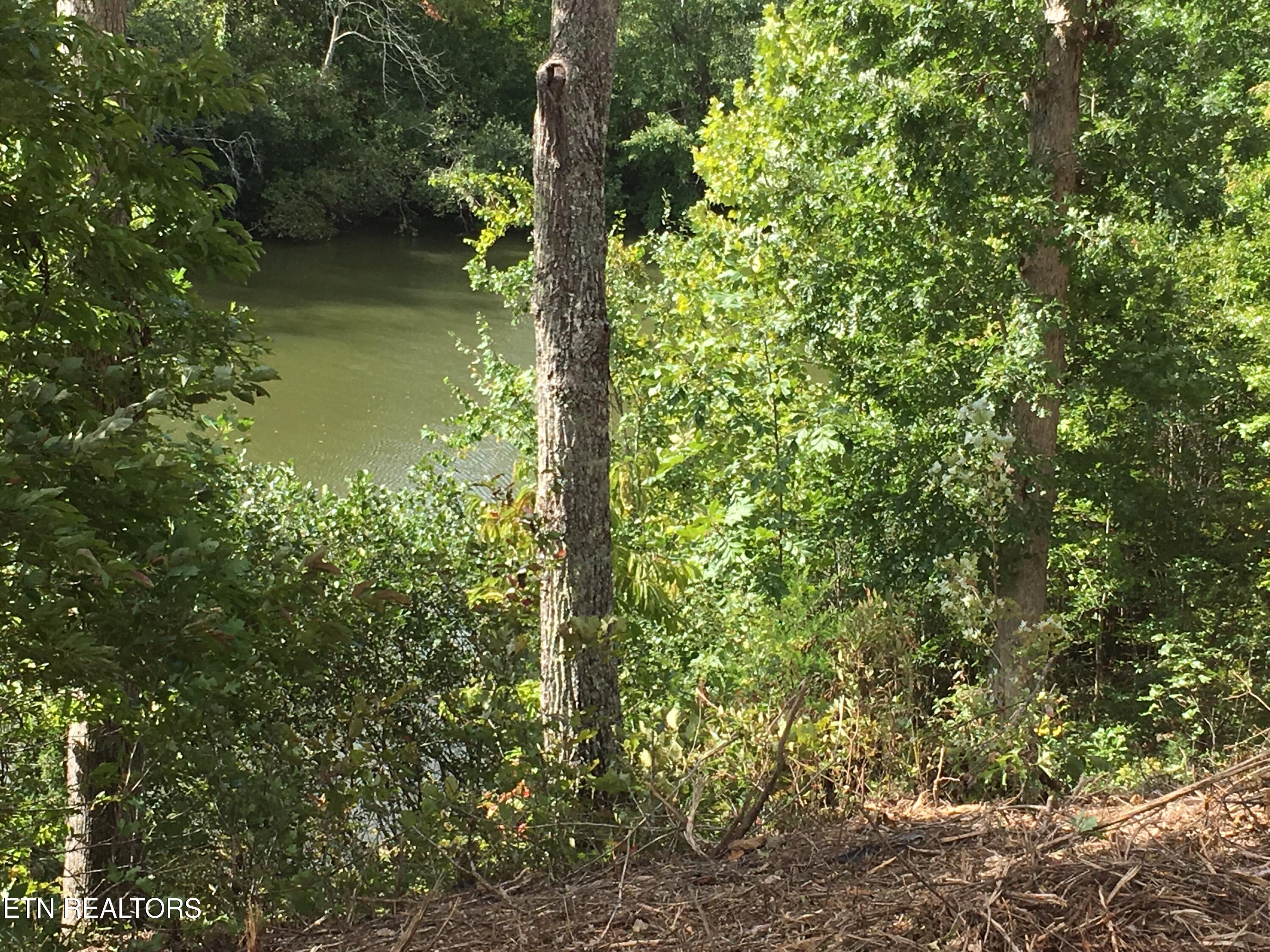 0 Twin Lakes Drive Loudon TN 37774