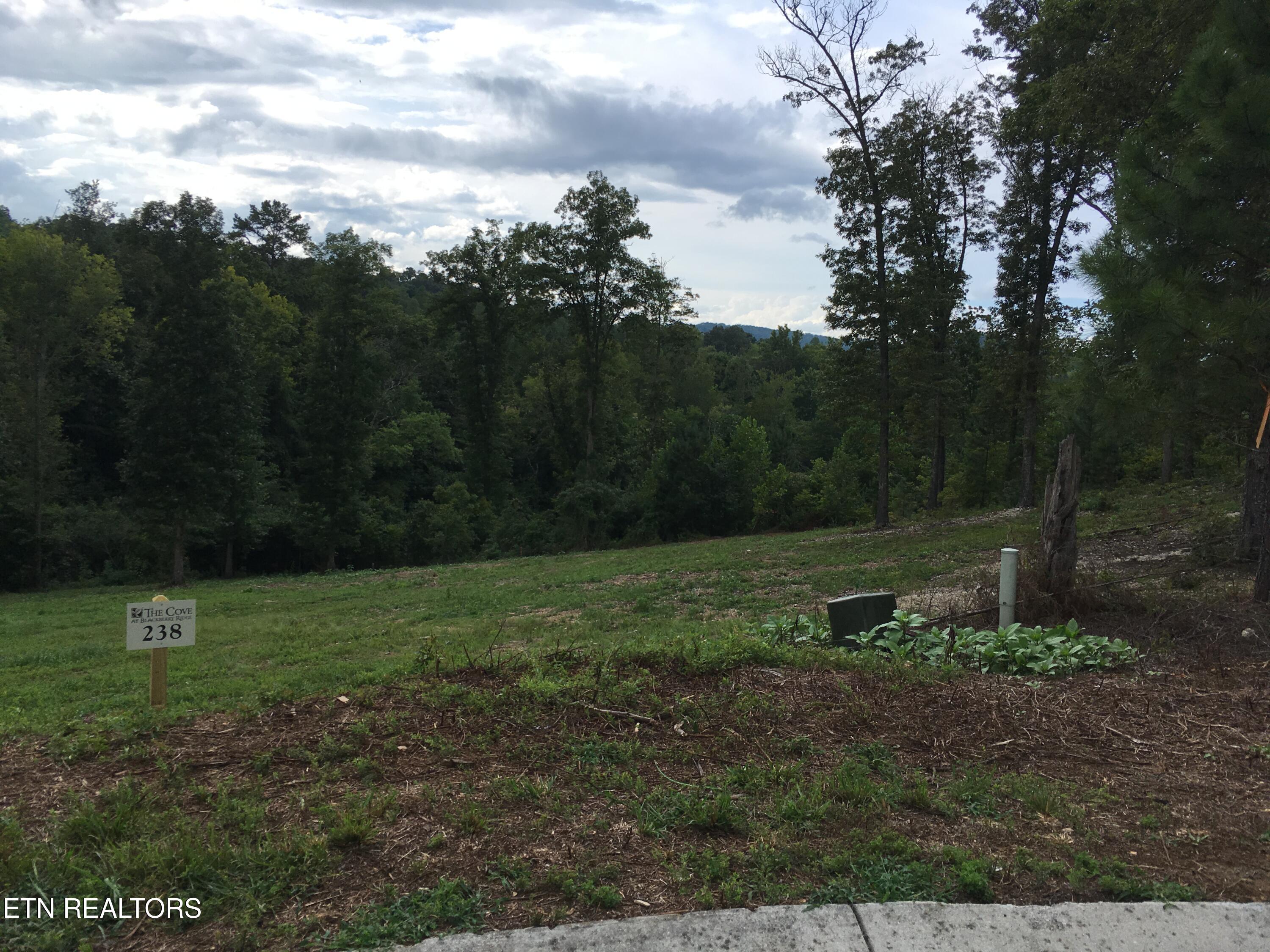 0 Twin Lakes Drive Loudon TN 37774