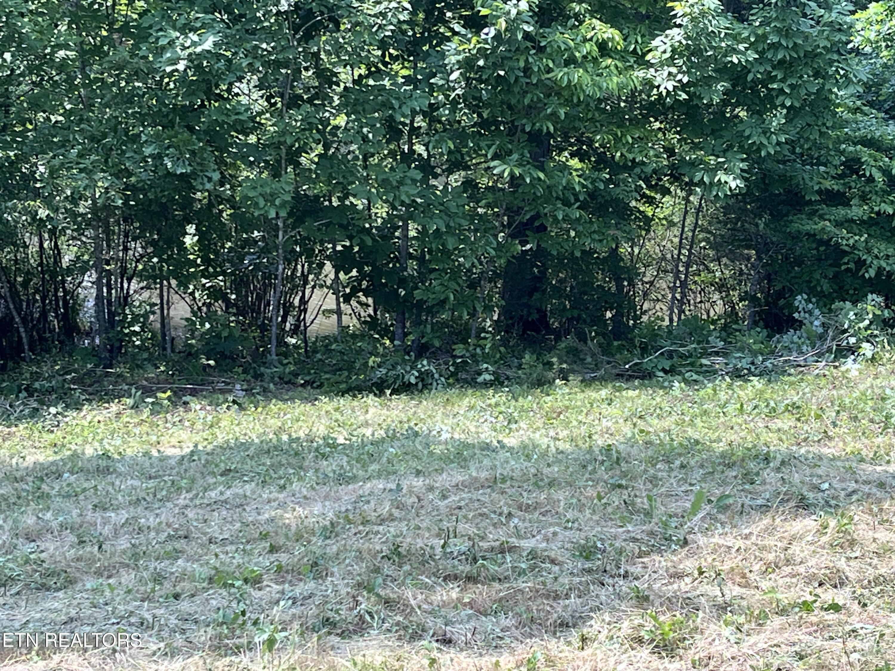 0 Twin Lakes Drive Loudon TN 37774