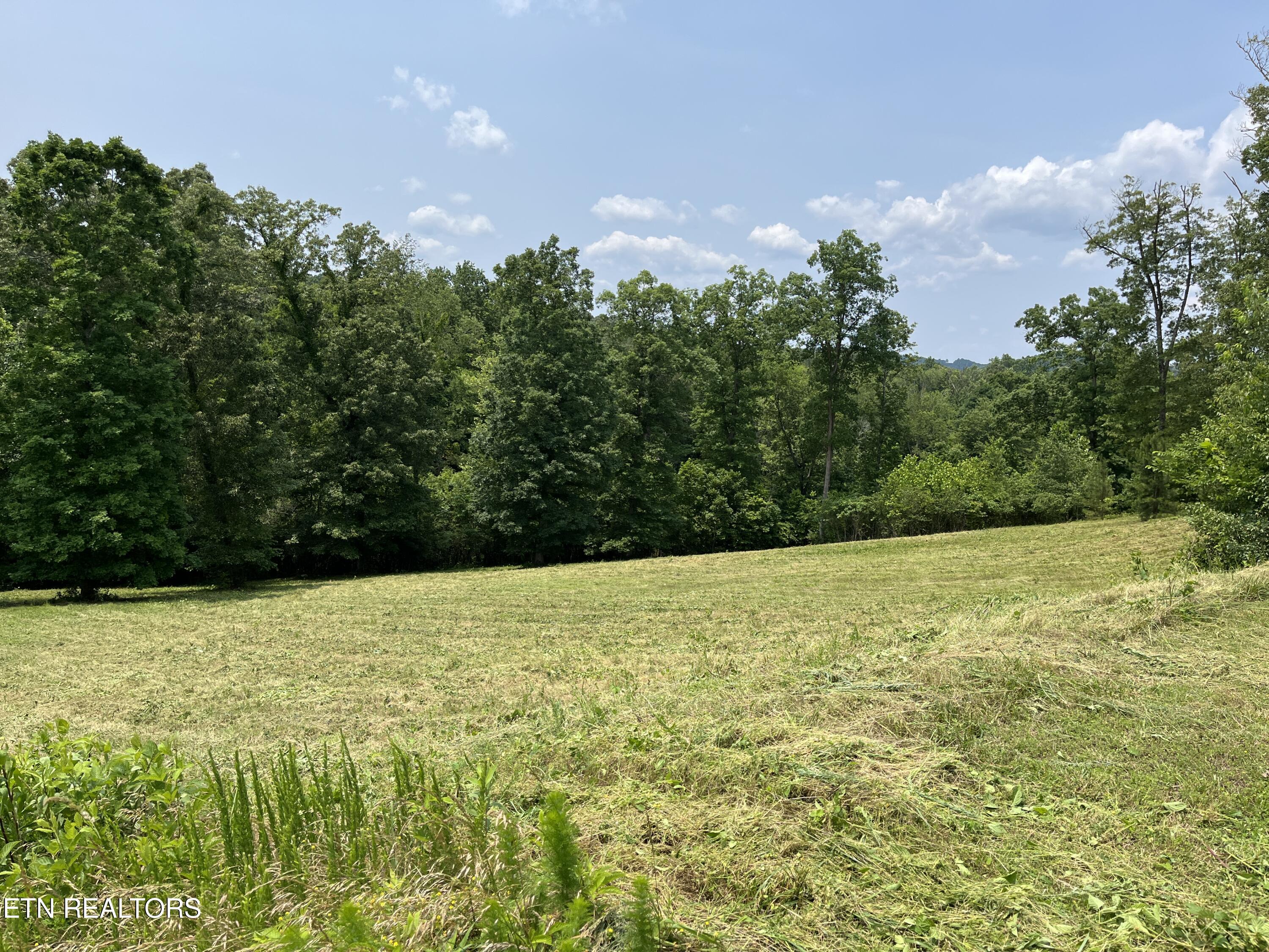 0 Twin Lakes Drive Loudon TN 37774