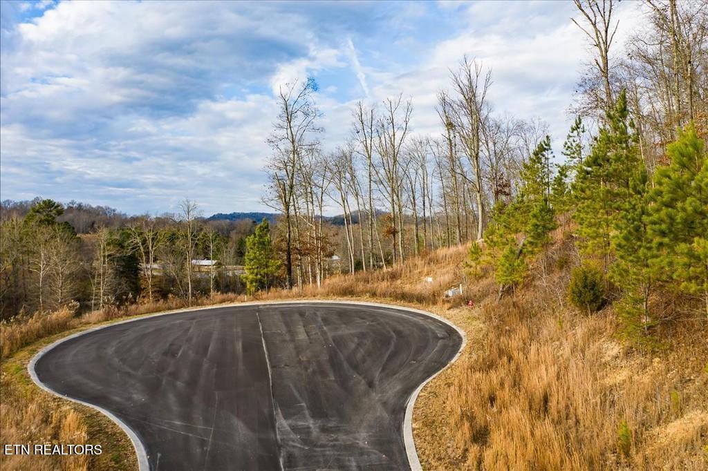 0 Twin Lakes Drive Loudon TN 37774