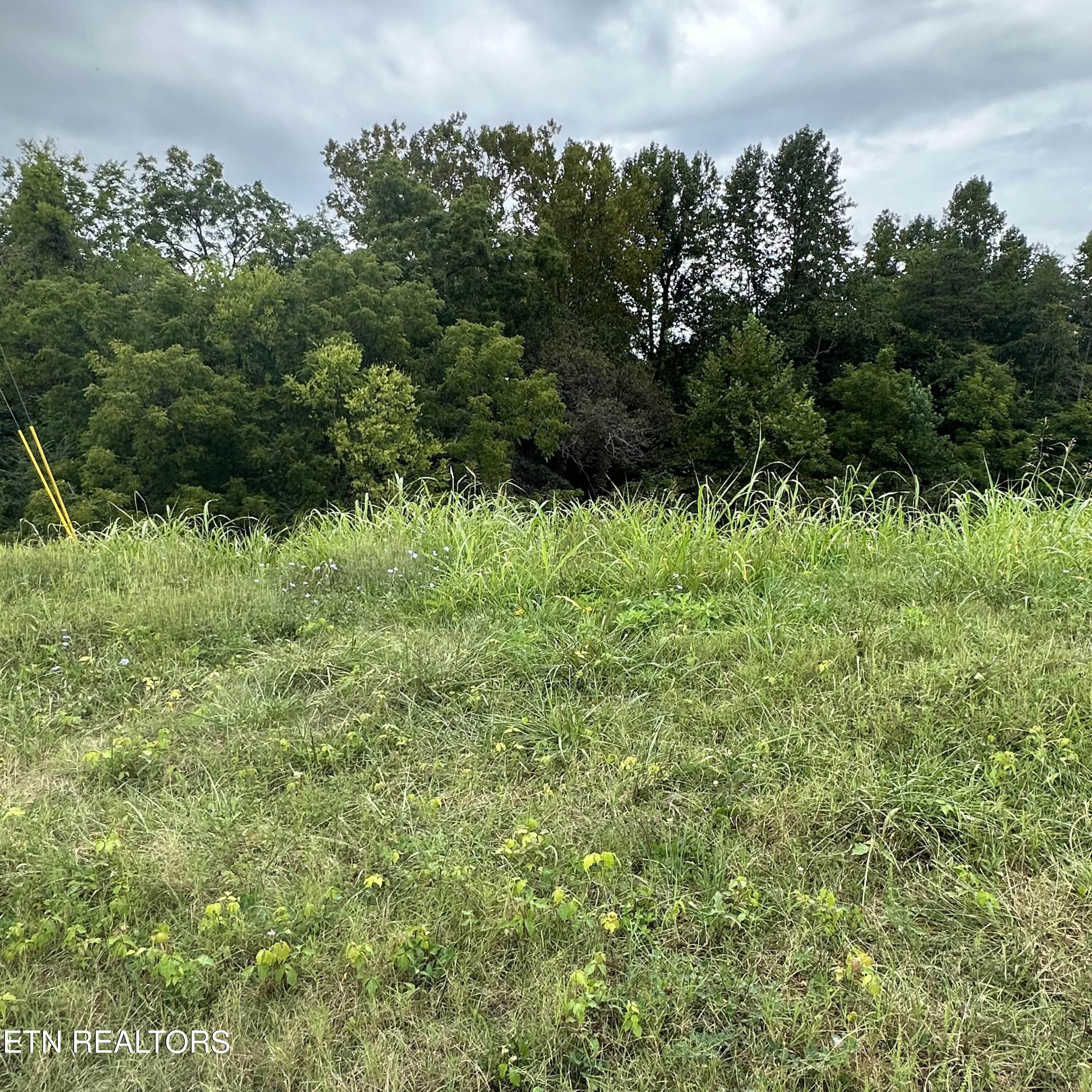 Bob Wright Lot 32 Road Maynardville TN 37807