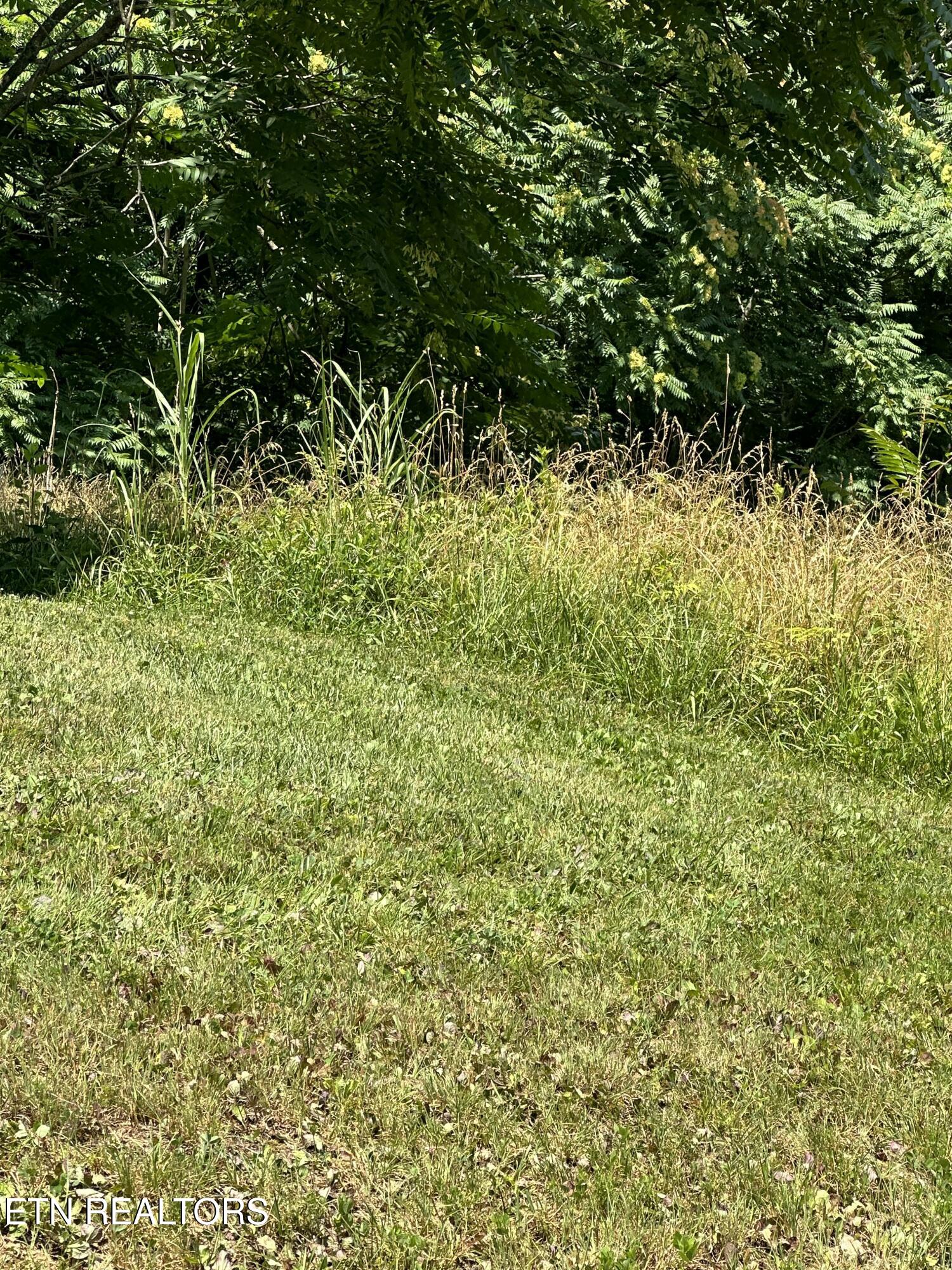 Bob Wright Lot 32 Road Maynardville TN 37807