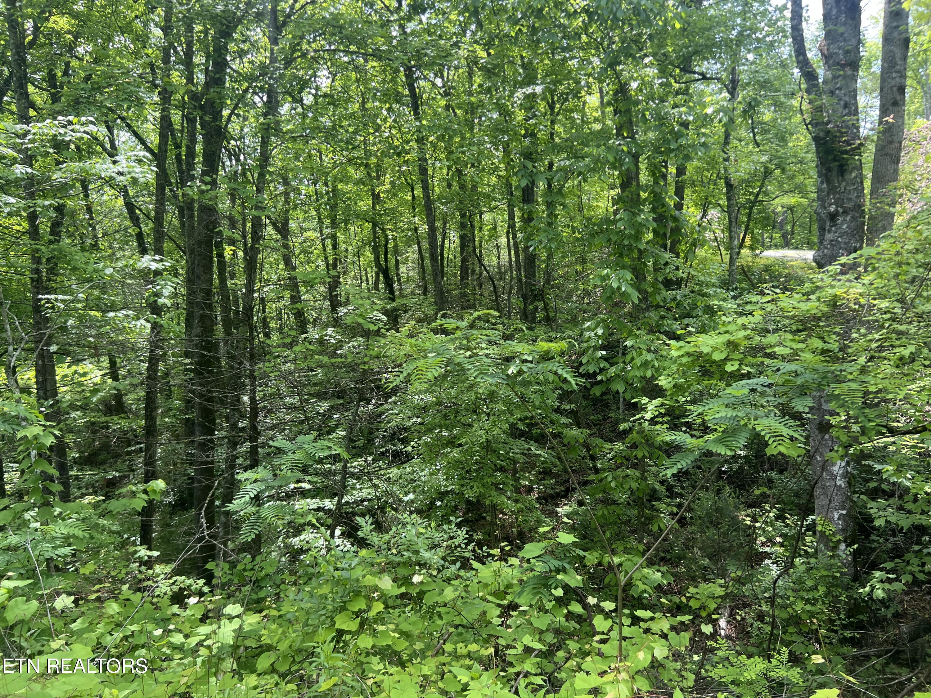 Lot 3 Old Cartertown (4.49 Acres) Road Gatlinburg TN 37738