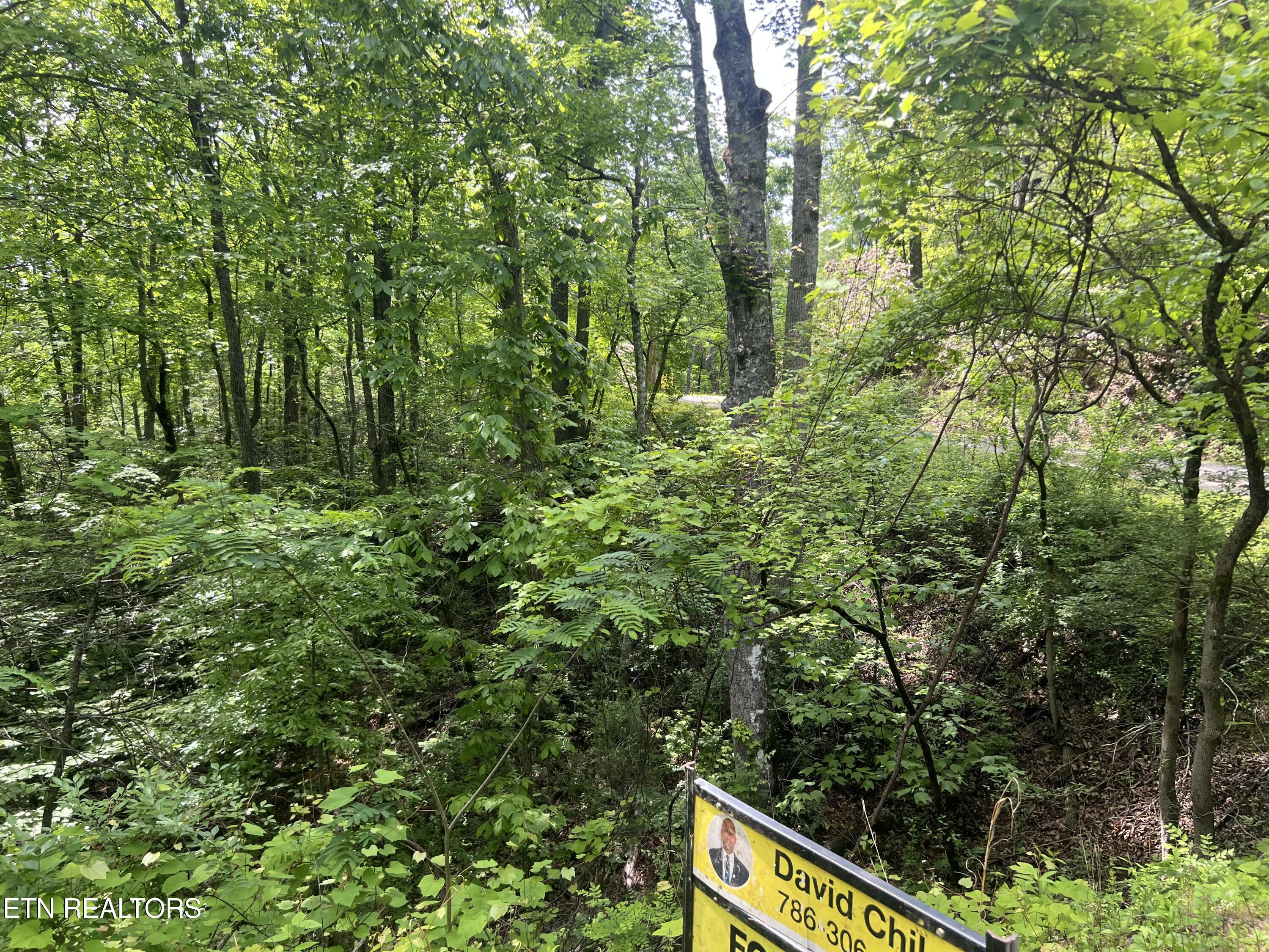 Lot 3 Old Cartertown (4.49 Acres) Road Gatlinburg TN 37738