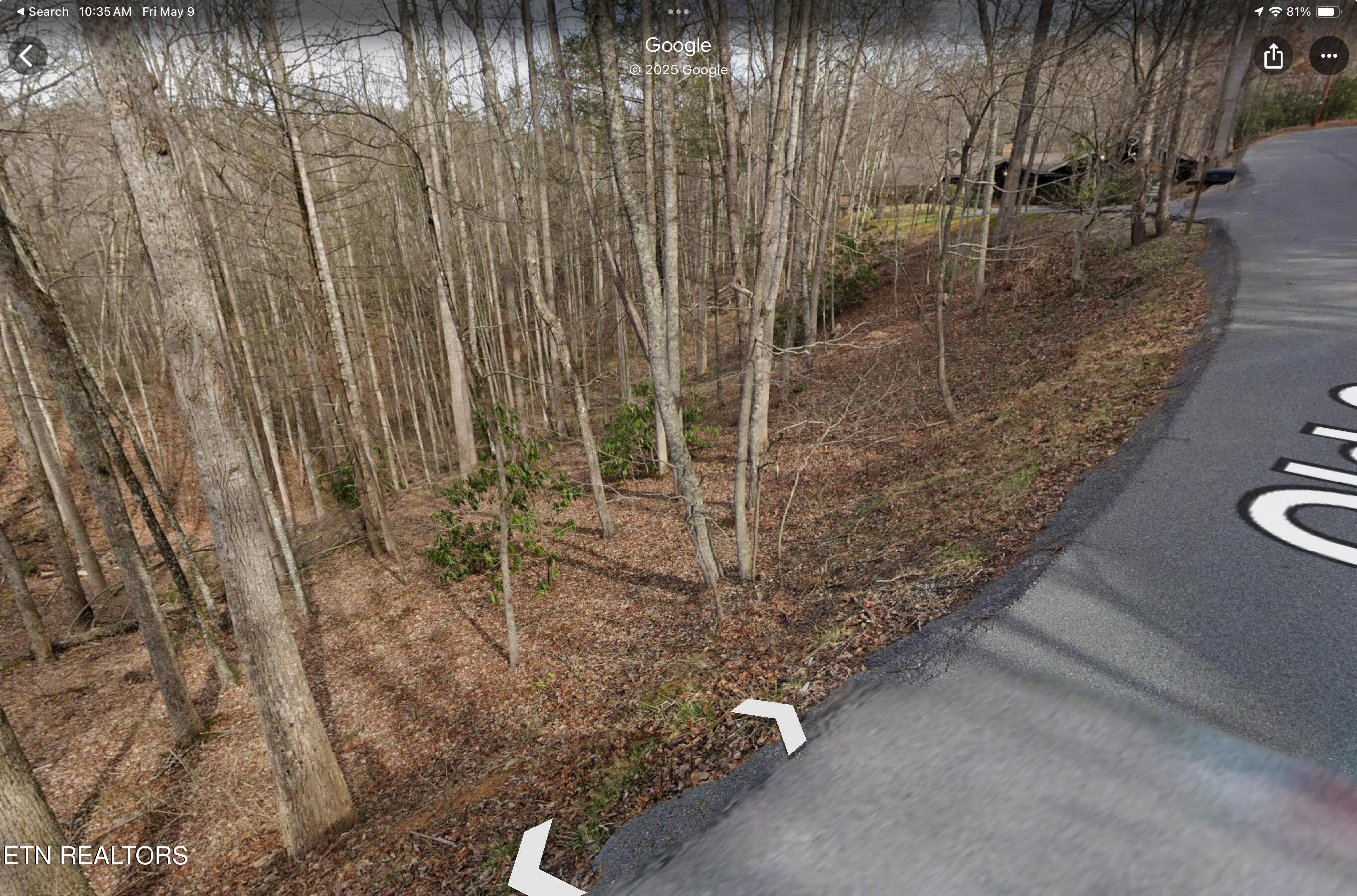 Lot 3 Old Cartertown (4.49 Acres) Road Gatlinburg TN 37738