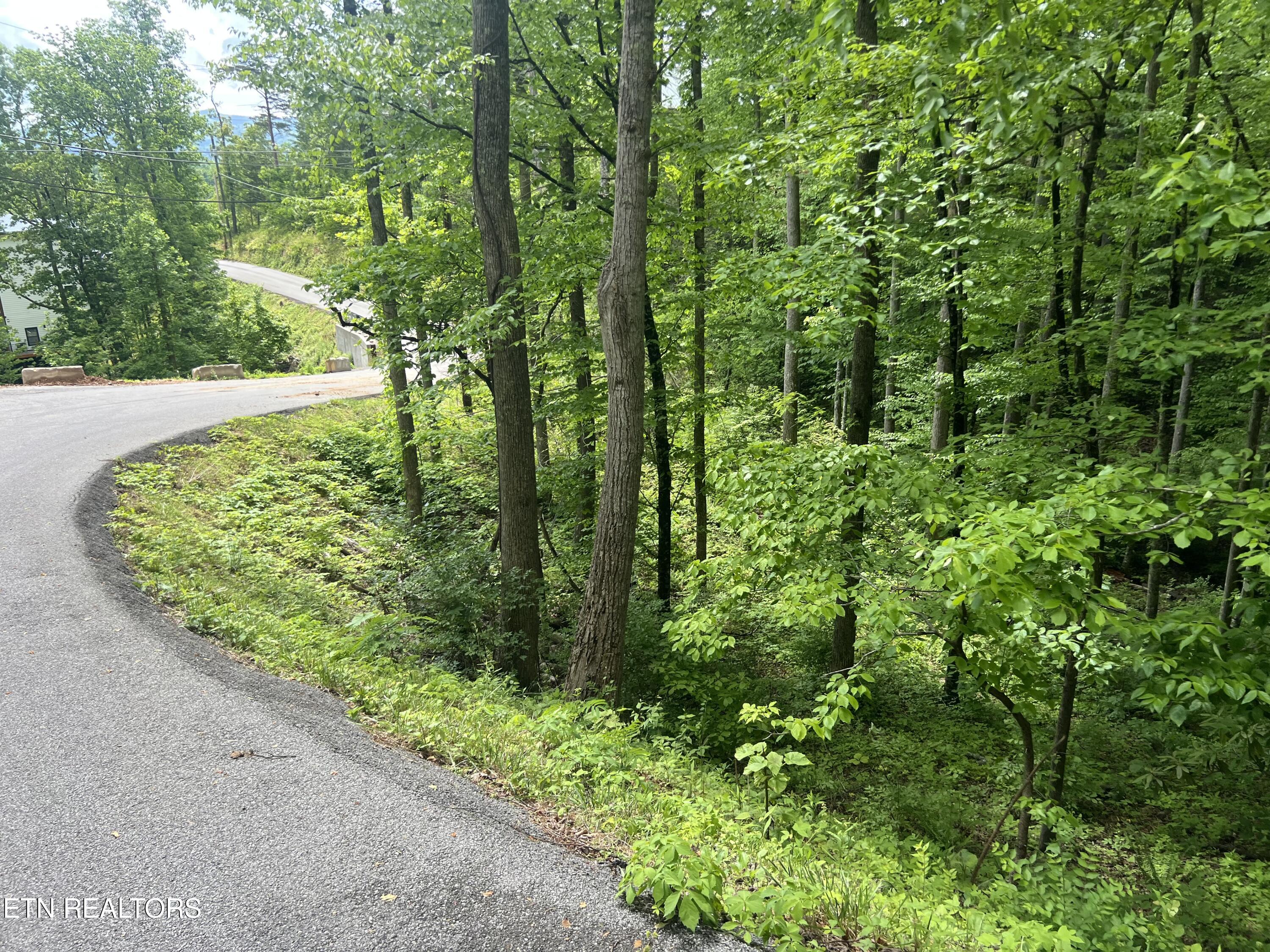 Lot 3 Old Cartertown (4.49 Acres) Road Gatlinburg TN 37738