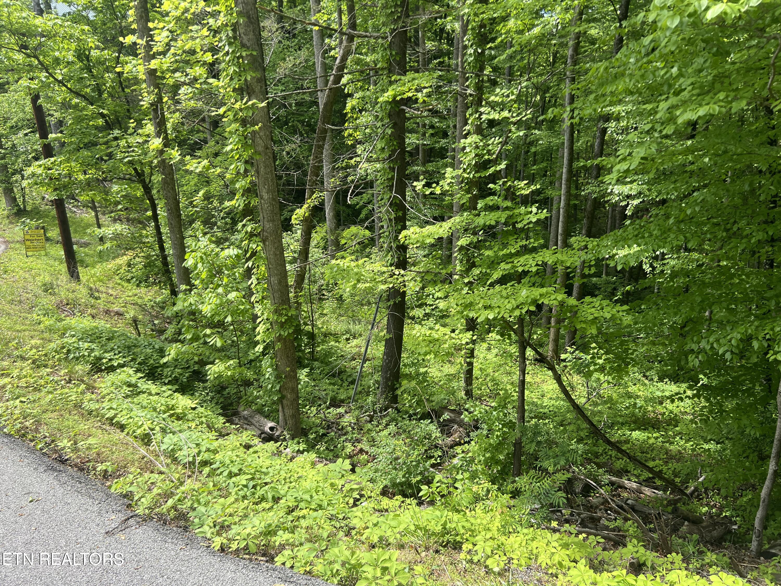 Lot 3 Old Cartertown (4.49 Acres) Road Gatlinburg TN 37738