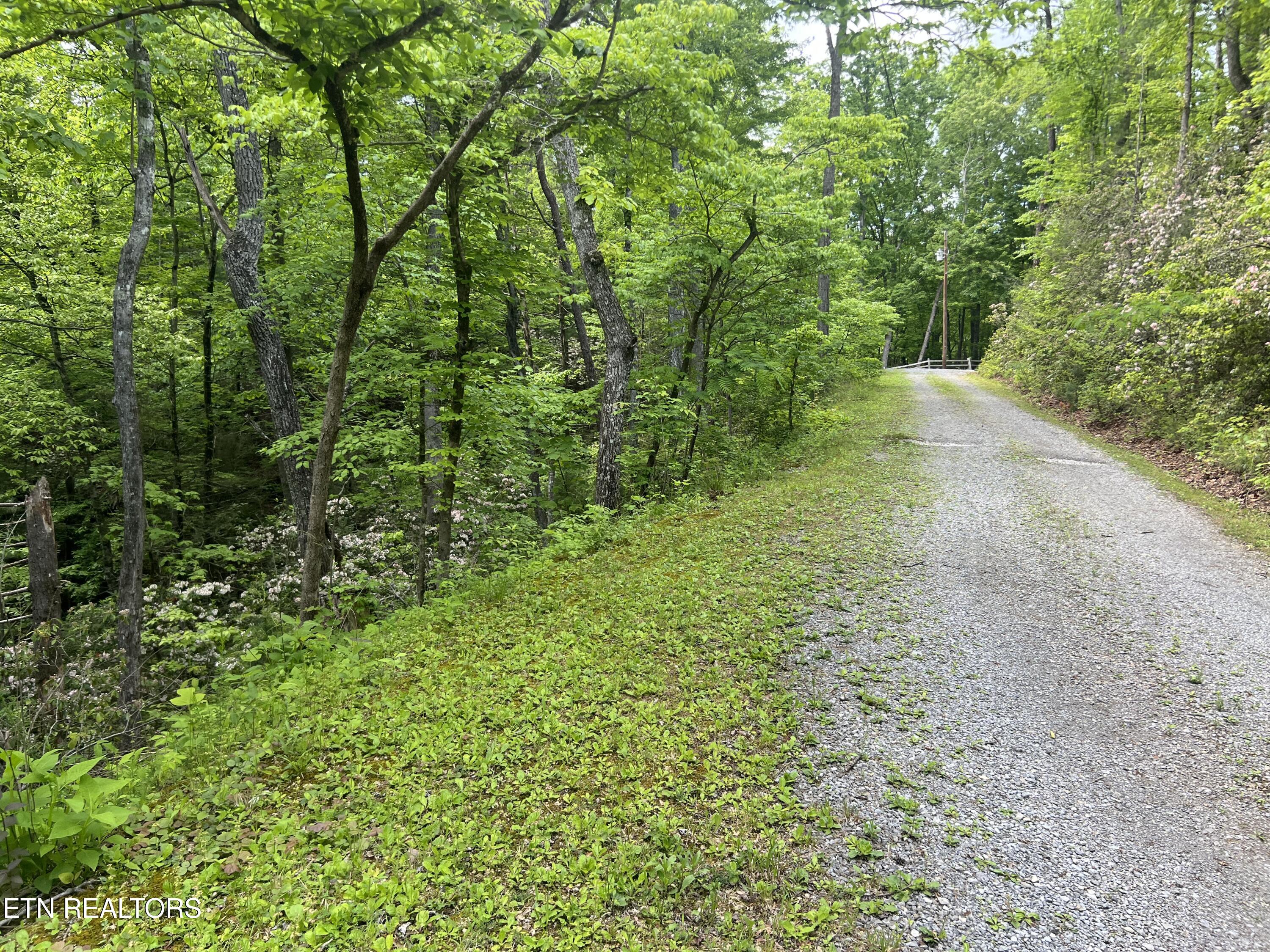 Lot 3 Old Cartertown (4.49 Acres) Road Gatlinburg TN 37738