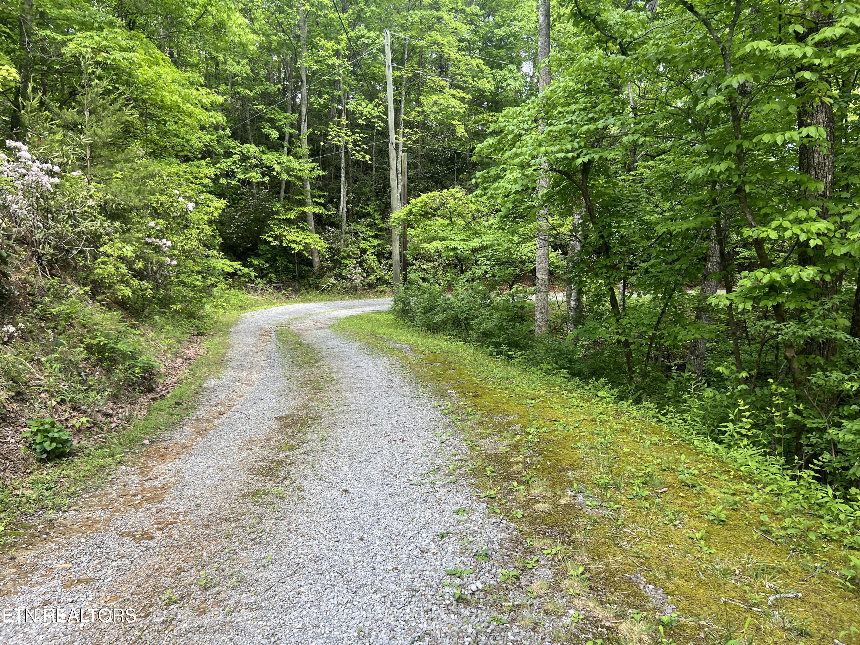 Lot 3 Old Cartertown (4.49 Acres) Road Gatlinburg TN 37738