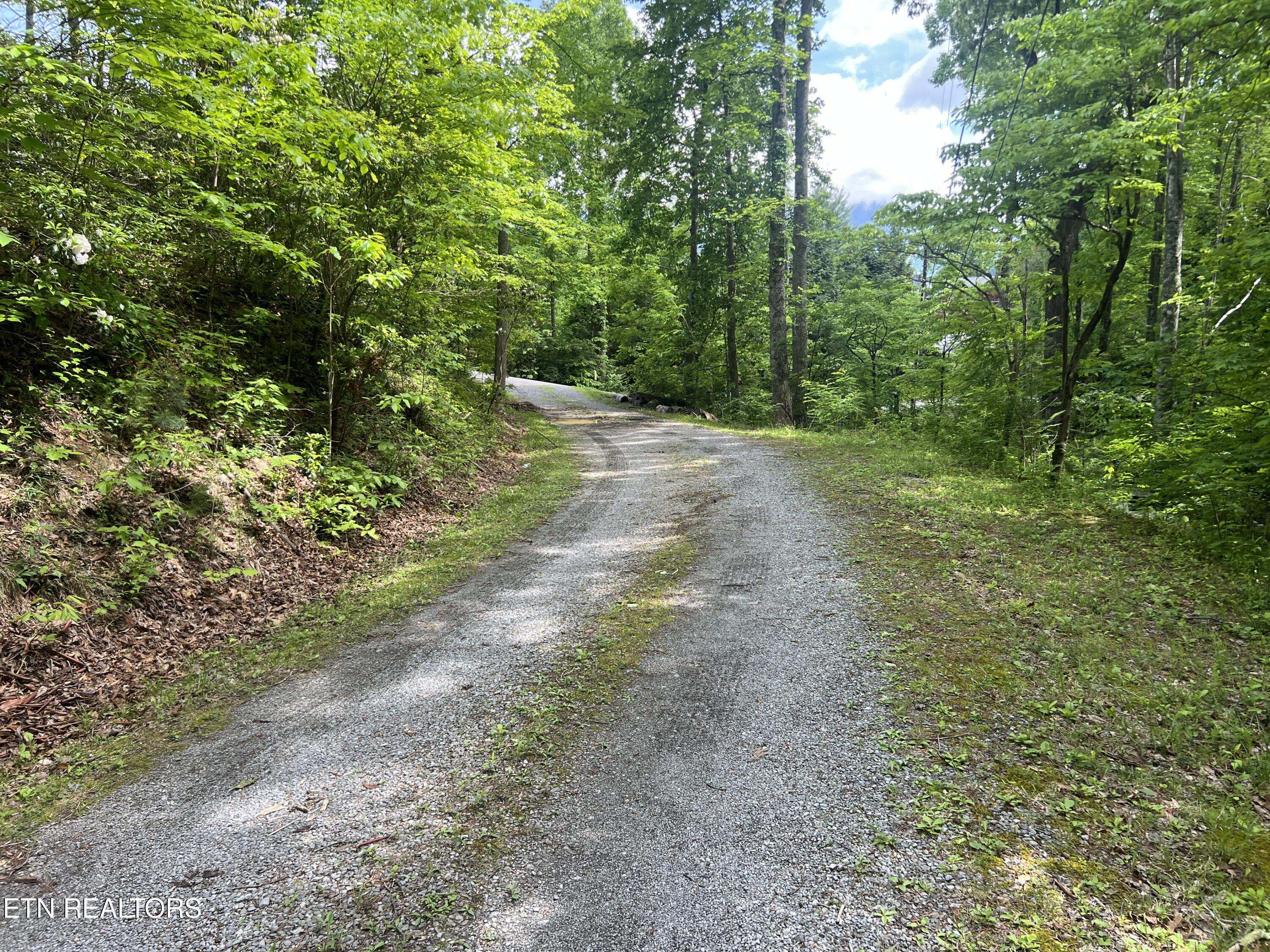 Lot 3 Old Cartertown (4.49 Acres) Road Gatlinburg TN 37738