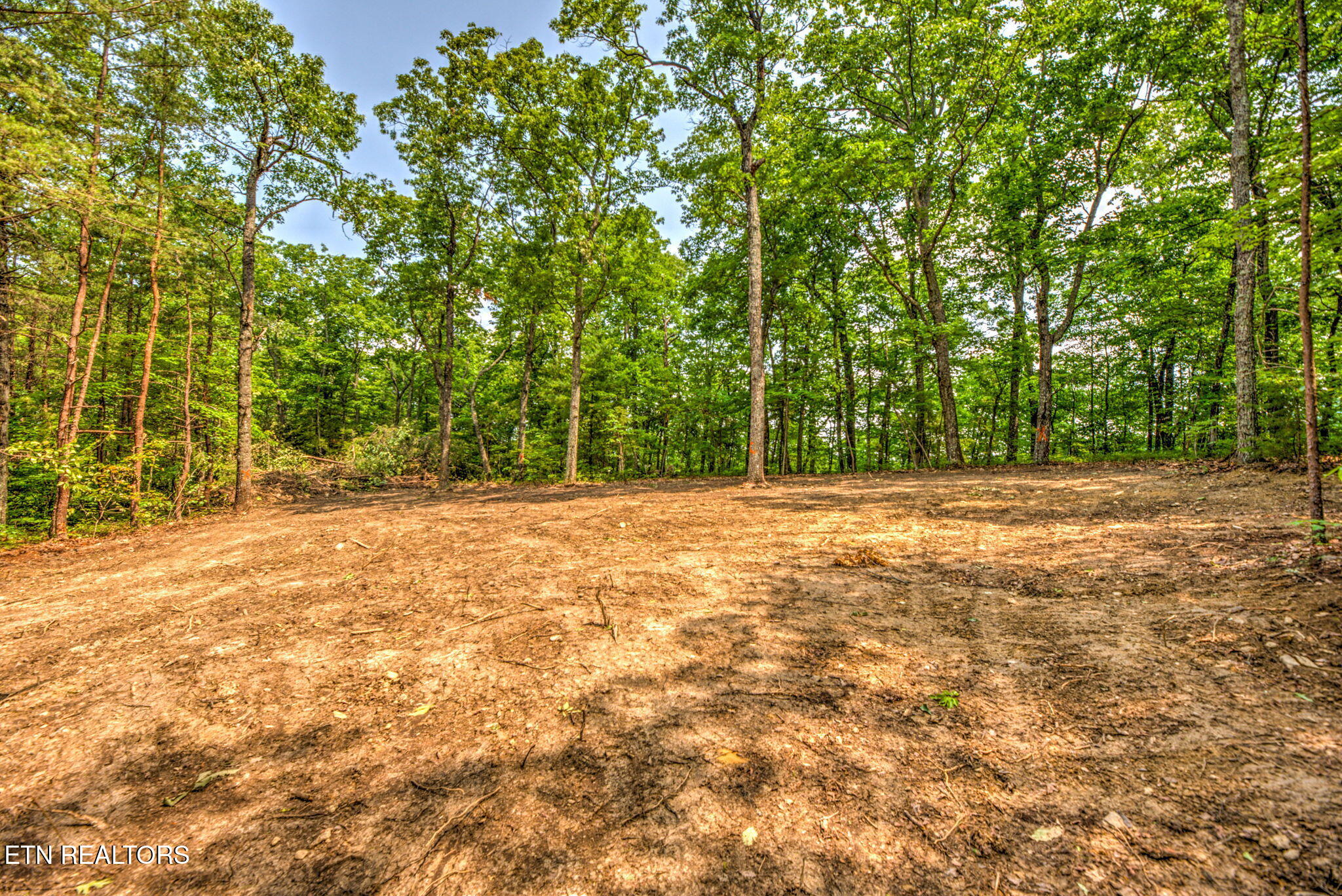 Chilly Springs Road Maryville TN 37803