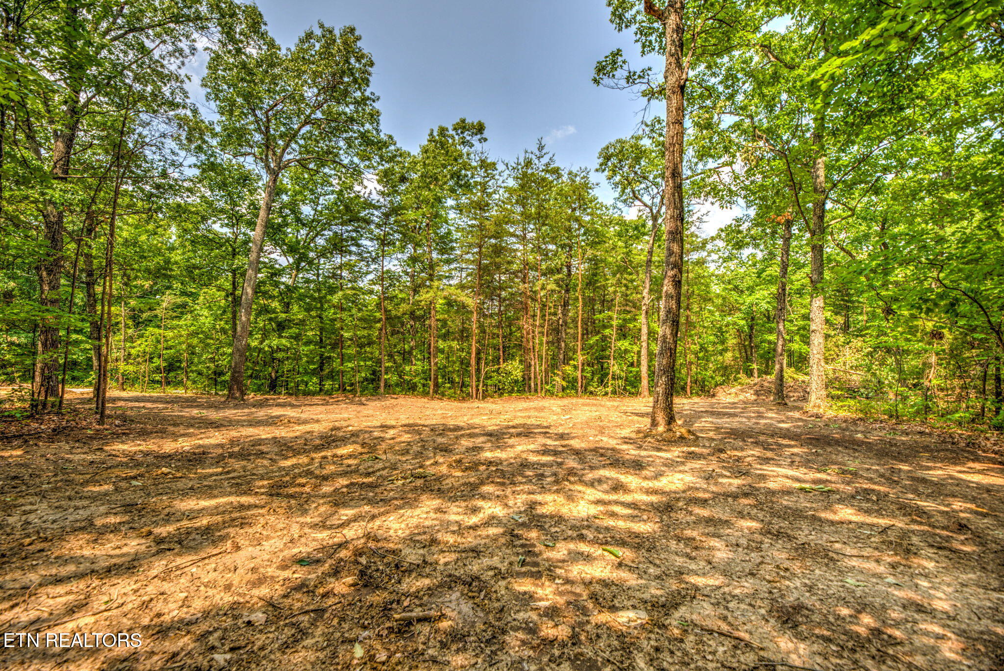 Chilly Springs Road Maryville TN 37803