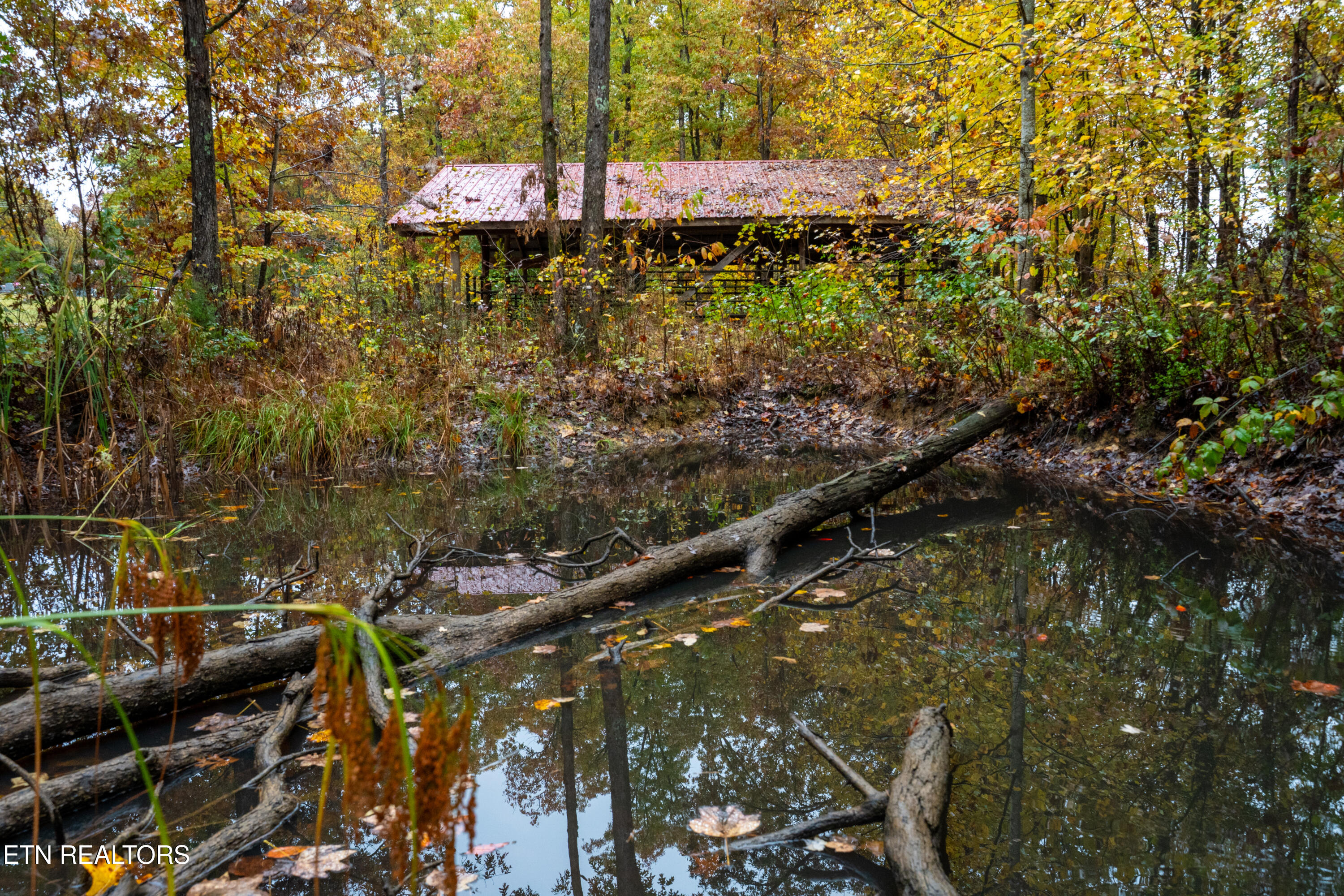 00 Roanoke Road Jamestown TN 38556