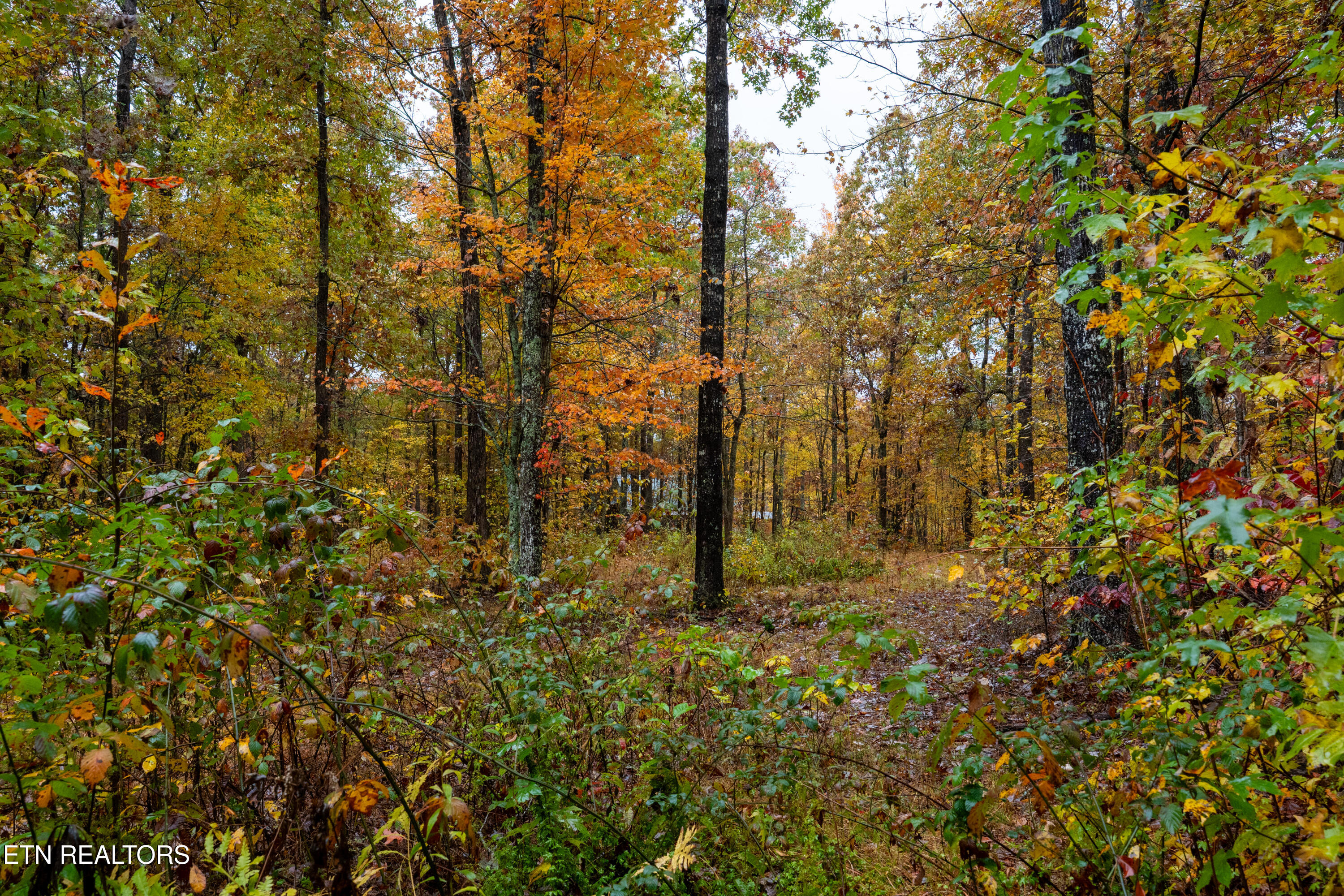 00 Roanoke Road Jamestown TN 38556