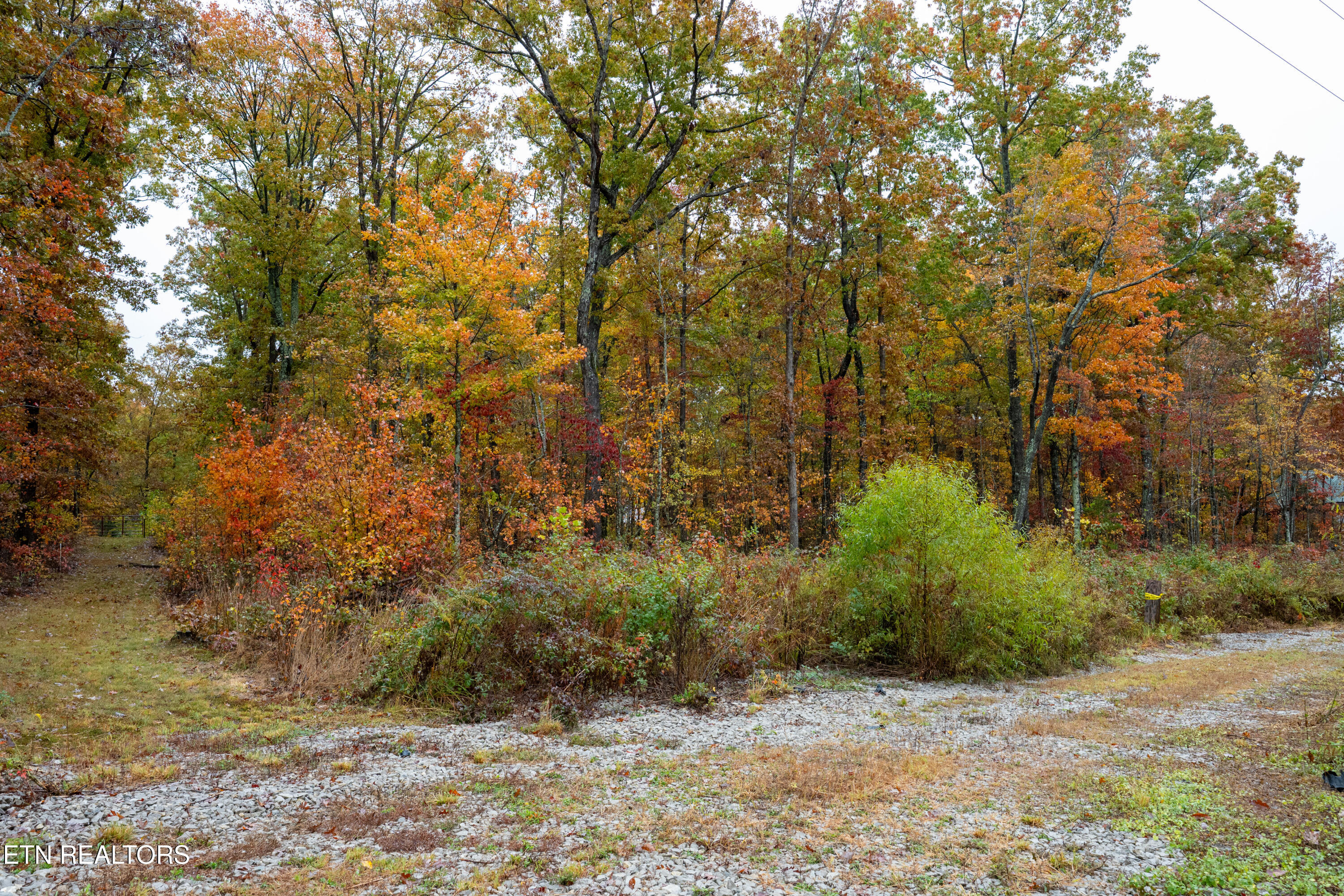00 Roanoke Road Jamestown TN 38556