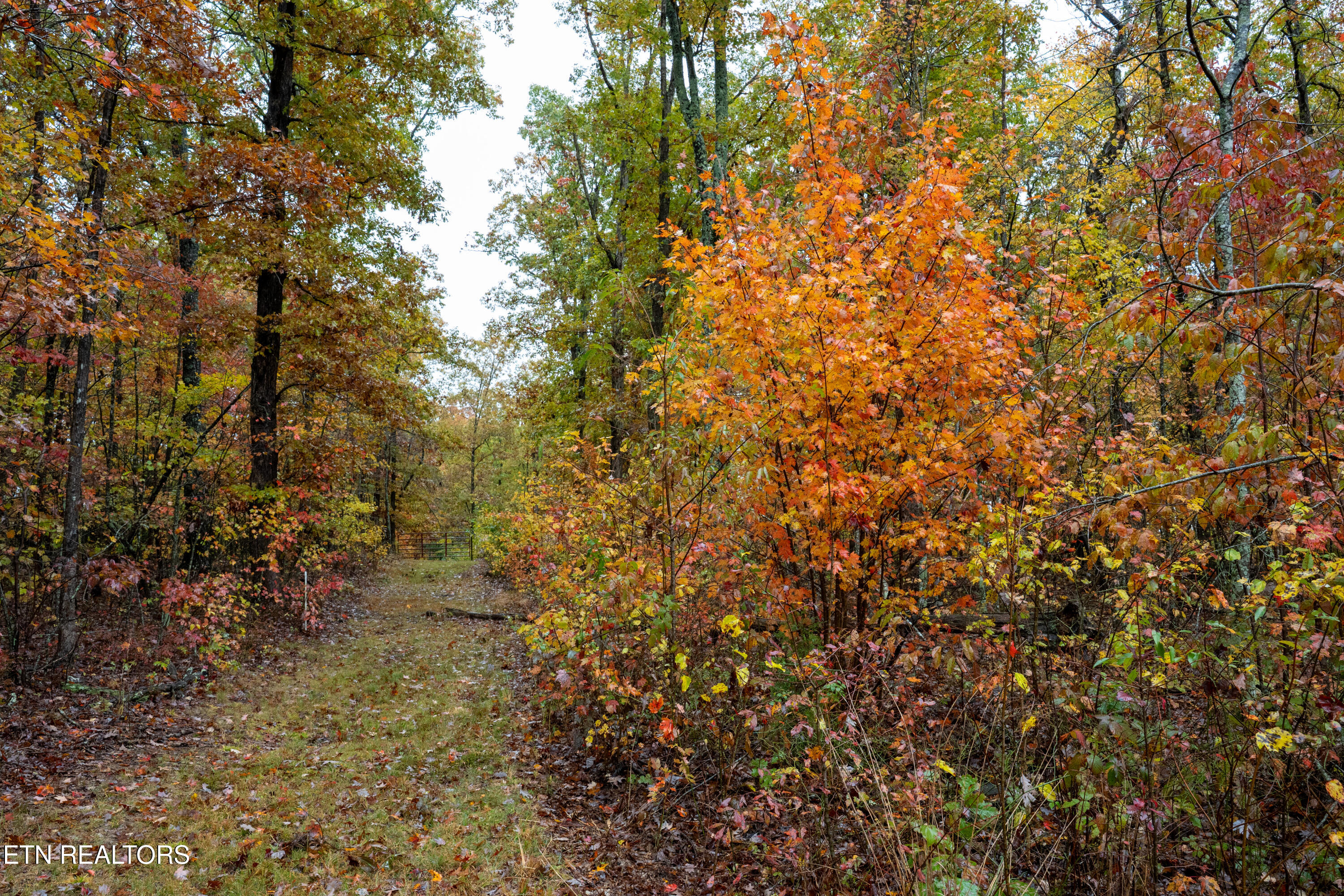00 Roanoke Road Jamestown TN 38556