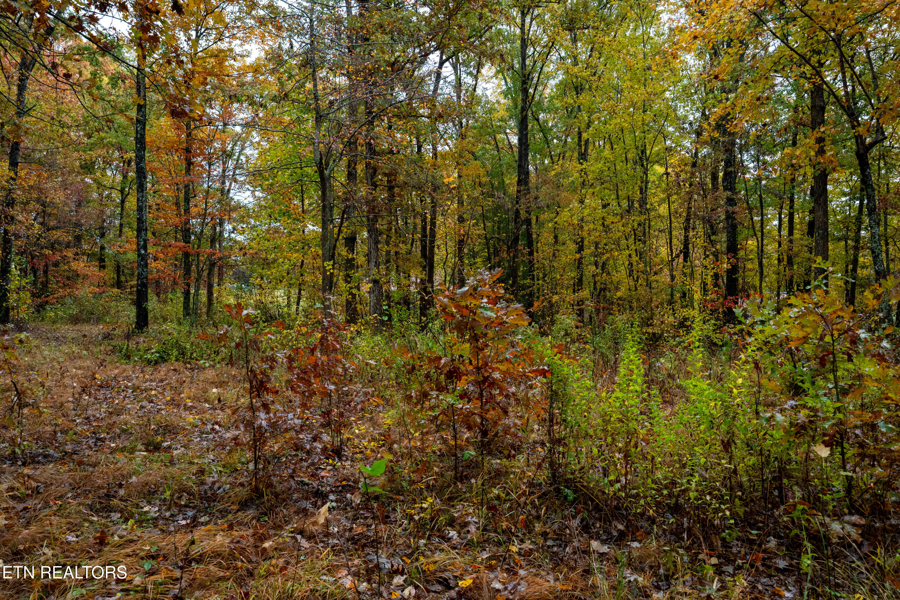 00 Roanoke Road Jamestown TN 38556