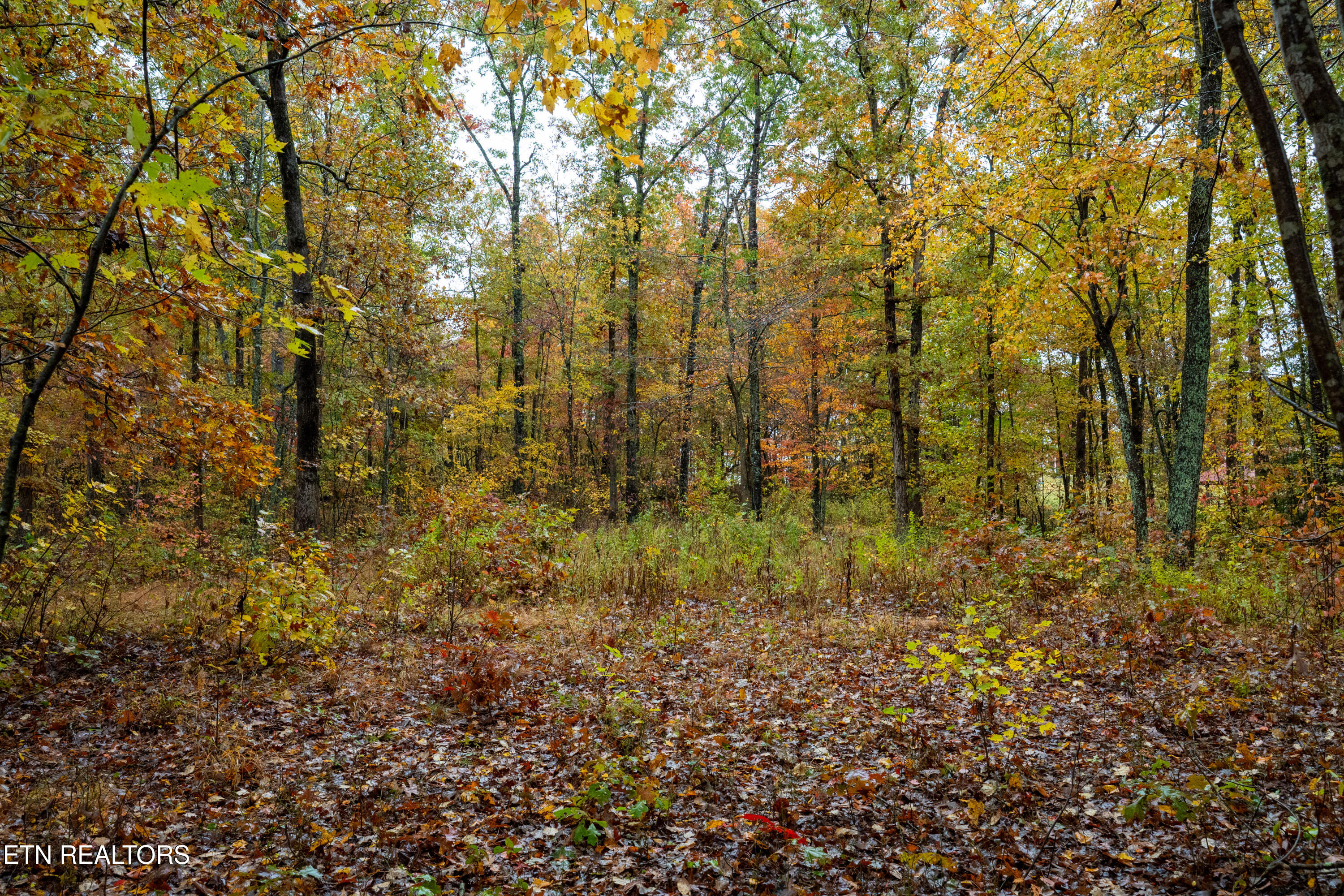 00 Roanoke Road Jamestown TN 38556