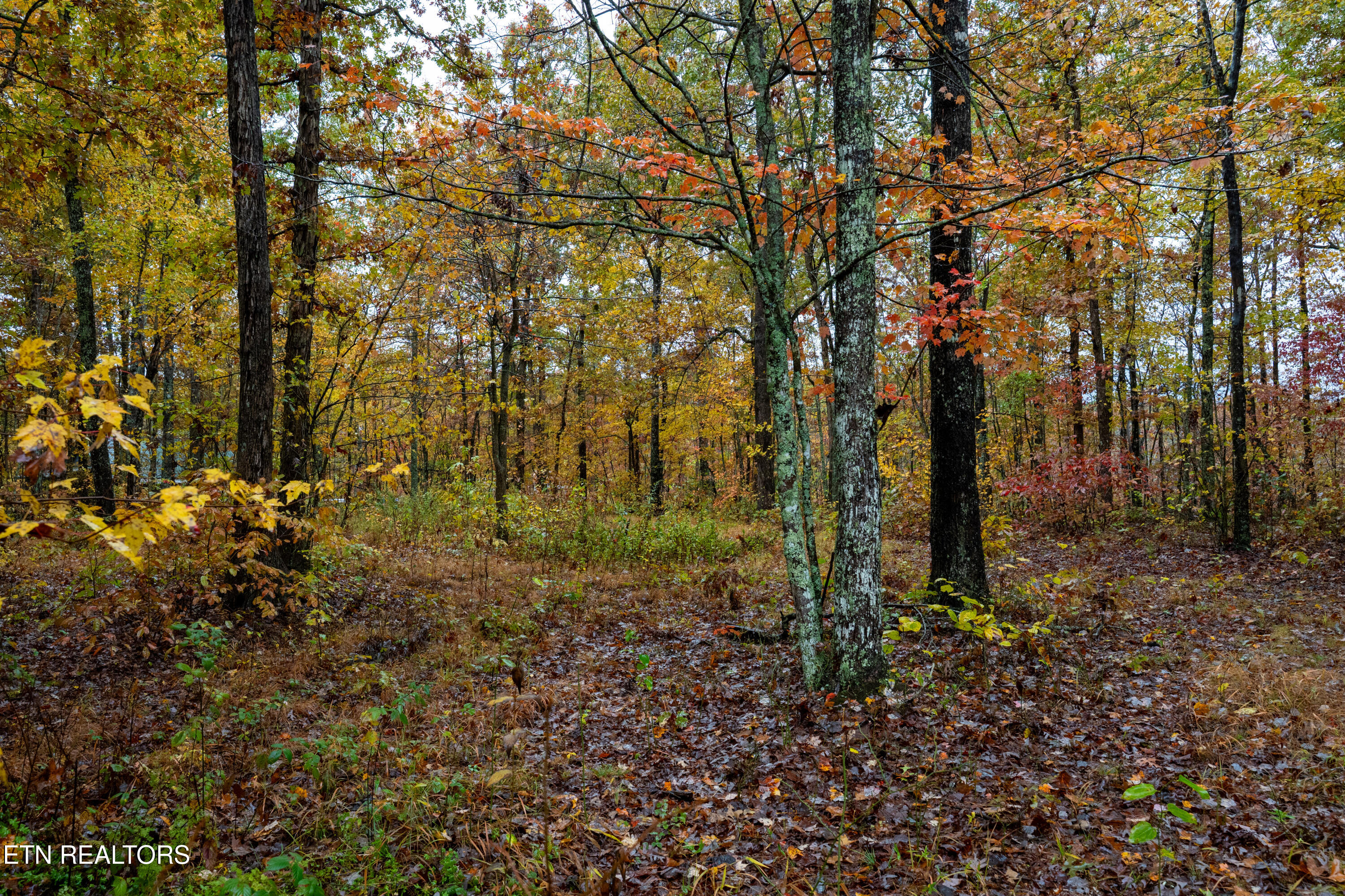 00 Roanoke Road Jamestown TN 38556