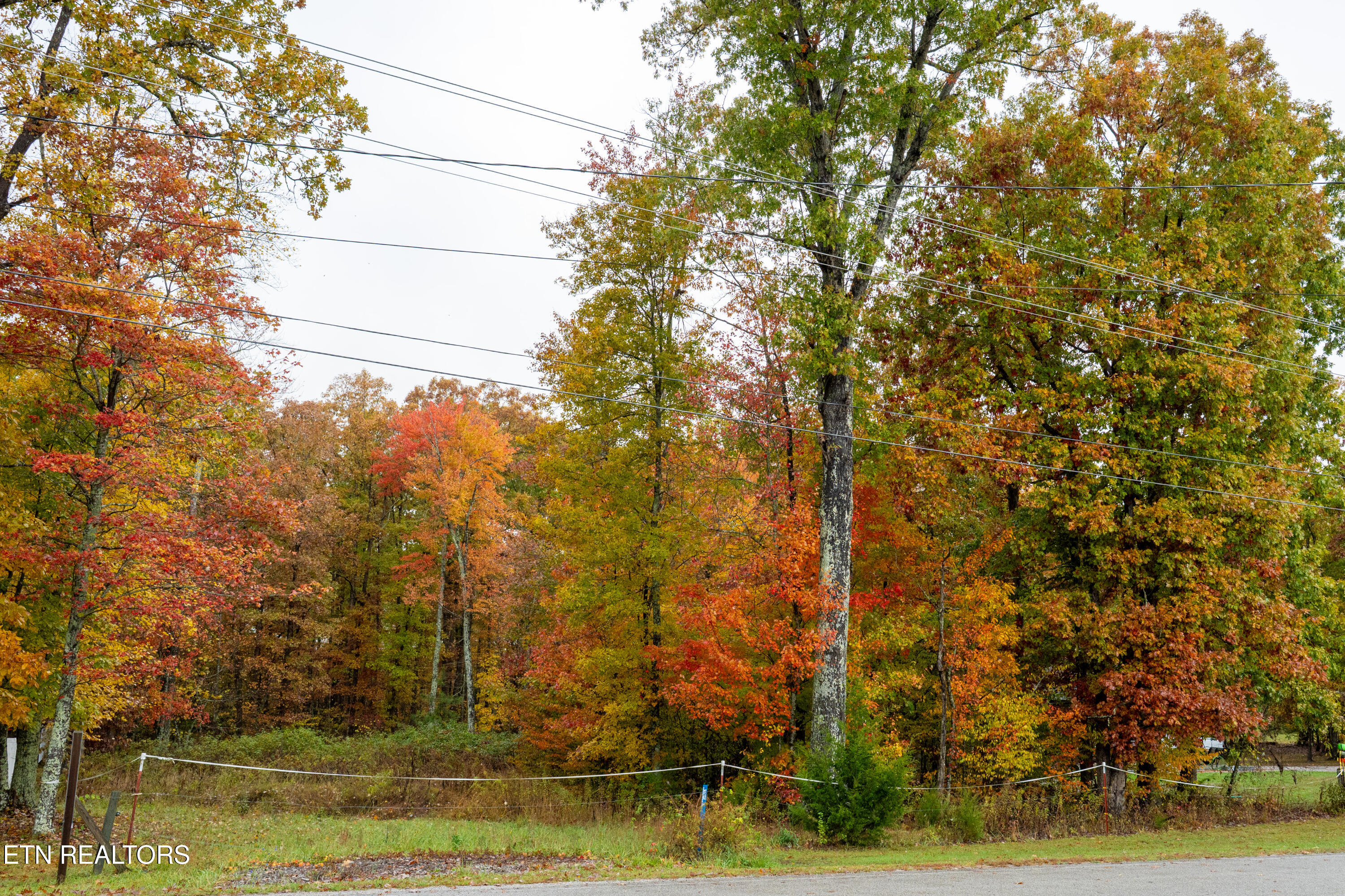 00 Roanoke Road Jamestown TN 38556