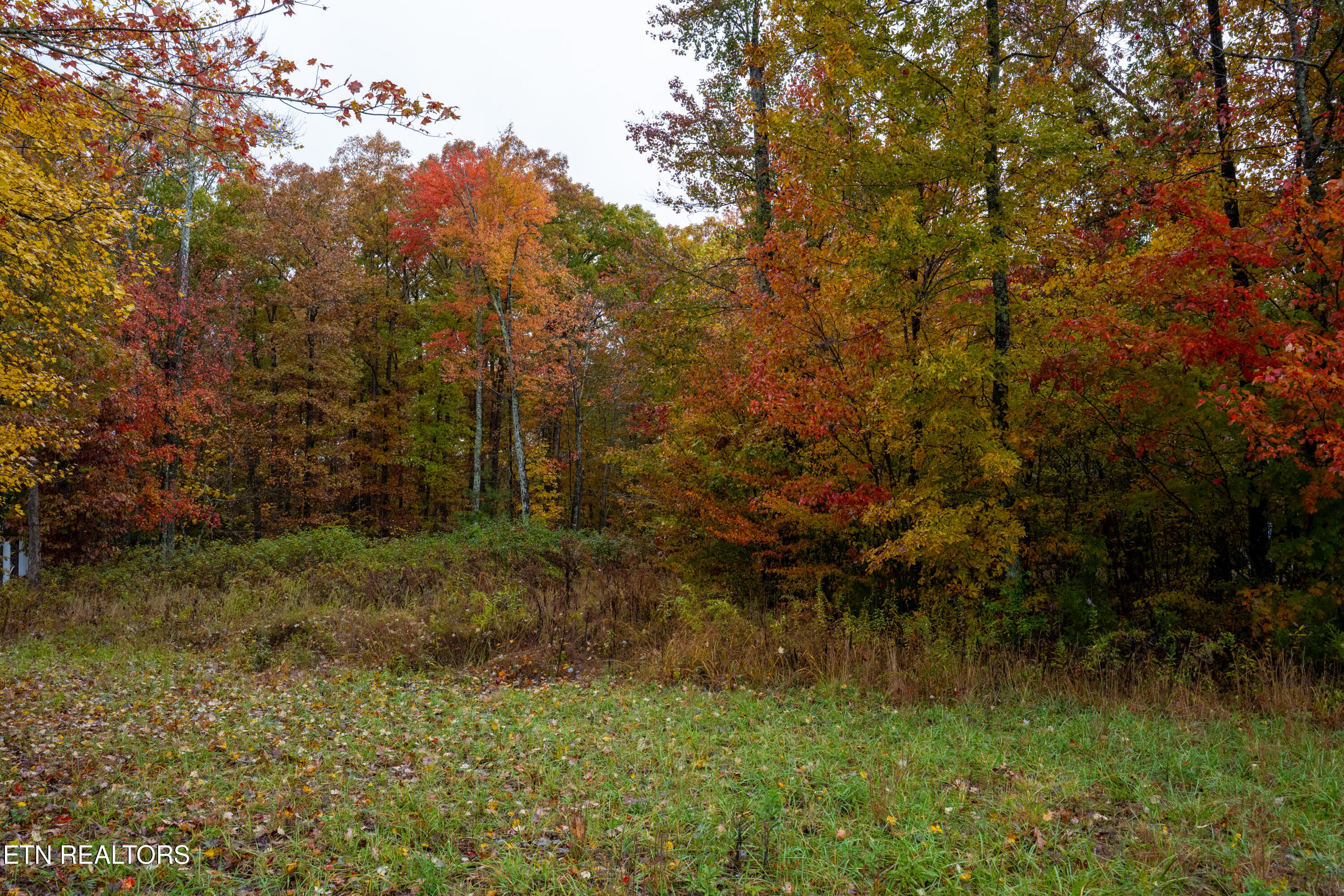 00 Roanoke Road Jamestown TN 38556