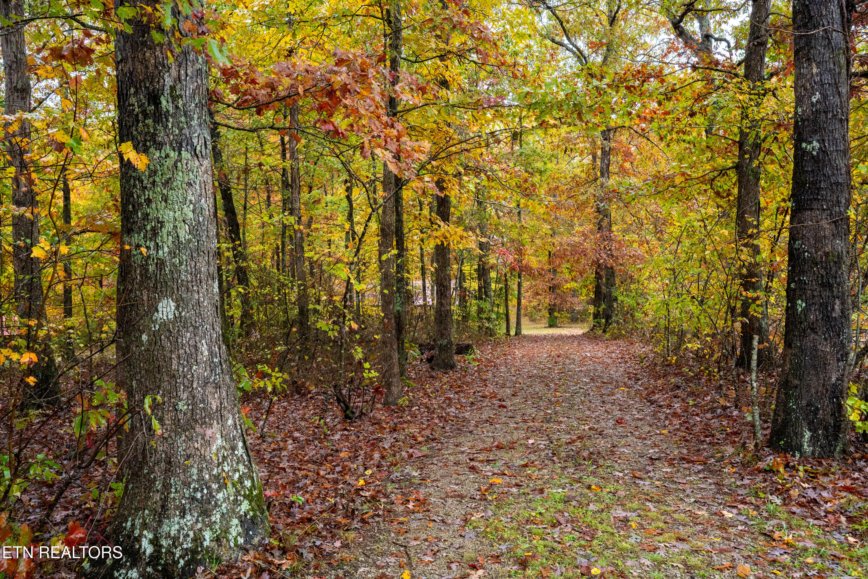 00 Roanoke Road Jamestown TN 38556