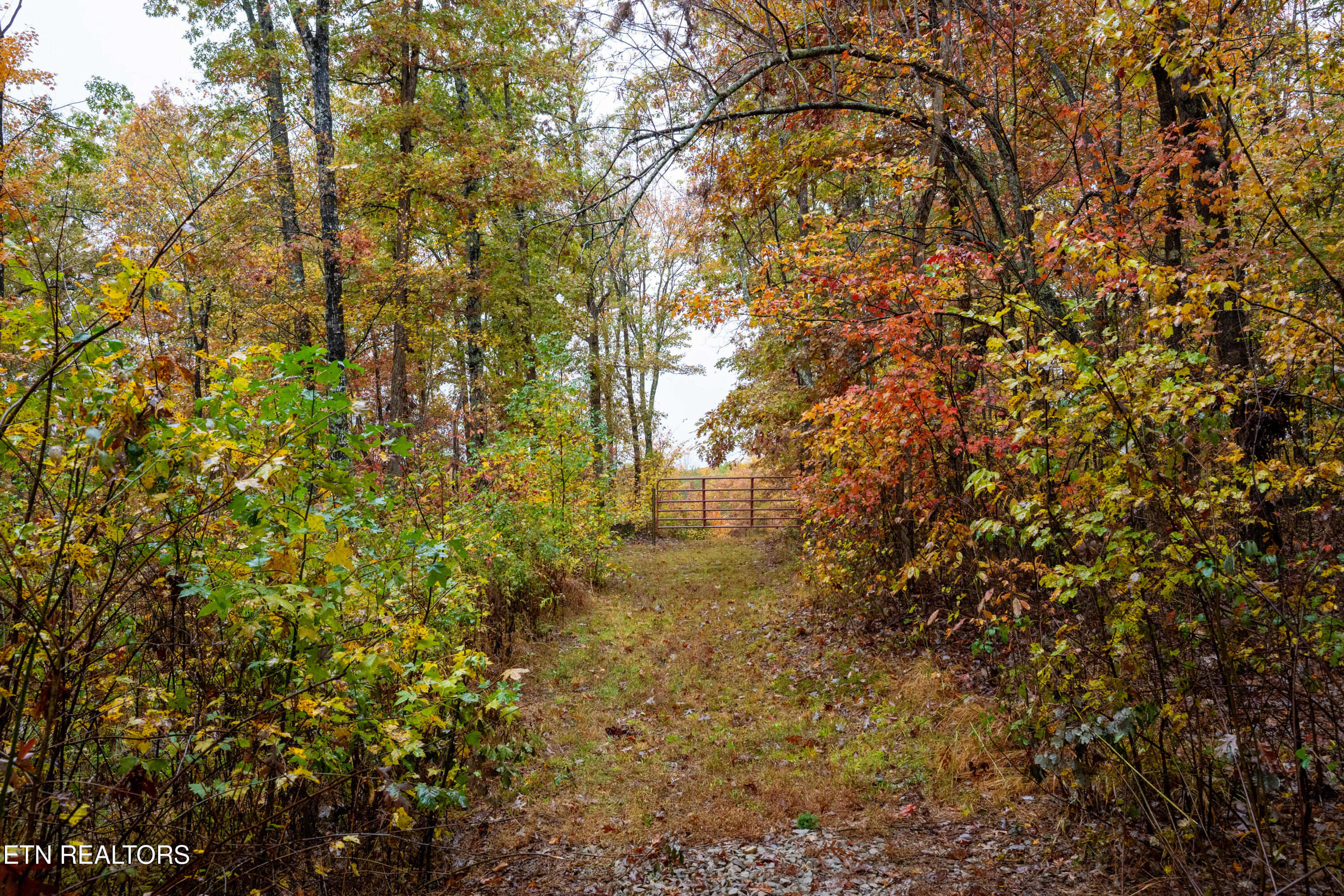 00 Roanoke Road Jamestown TN 38556