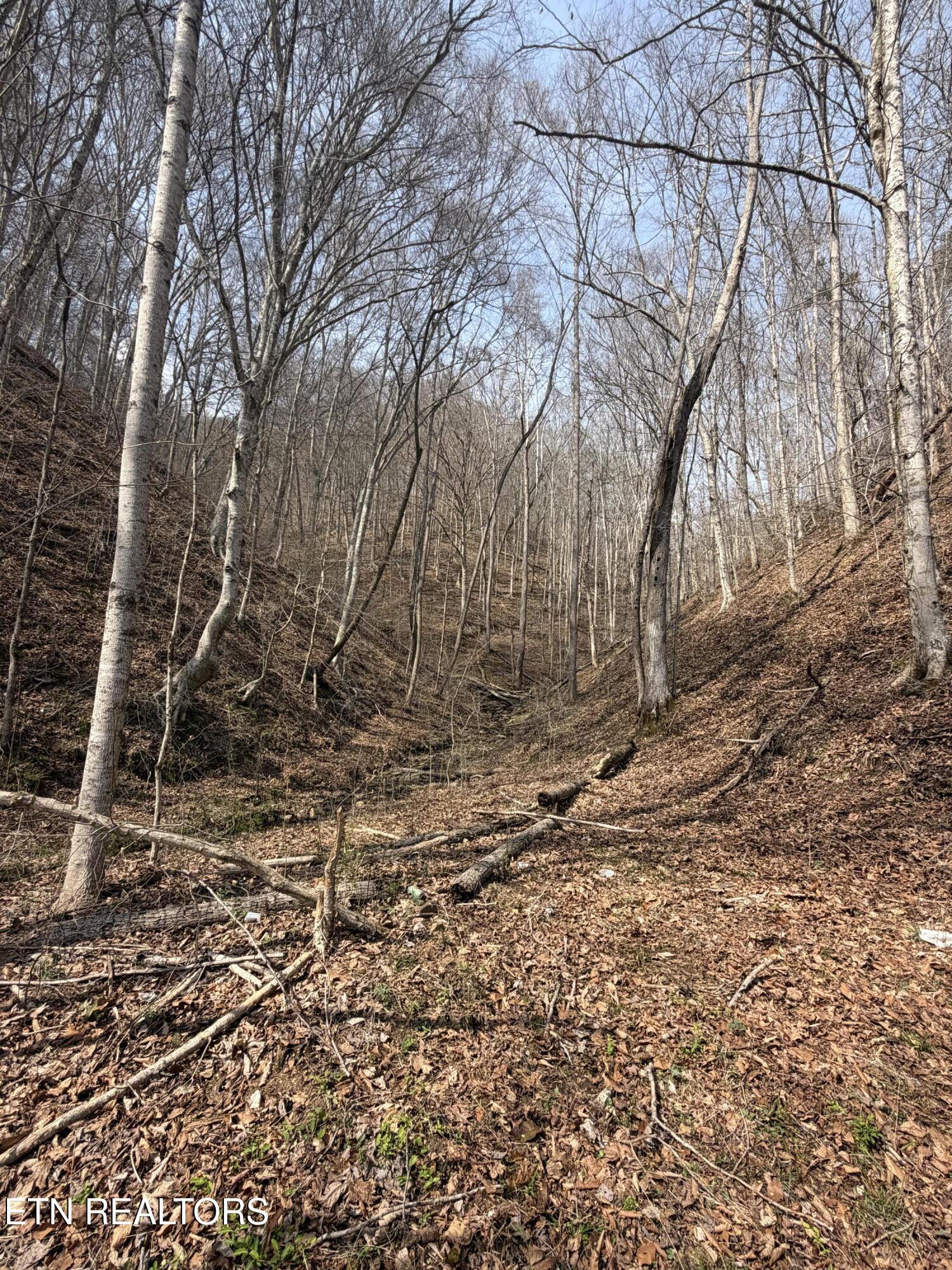 War Creek Road Thorn Hill TN 37881
