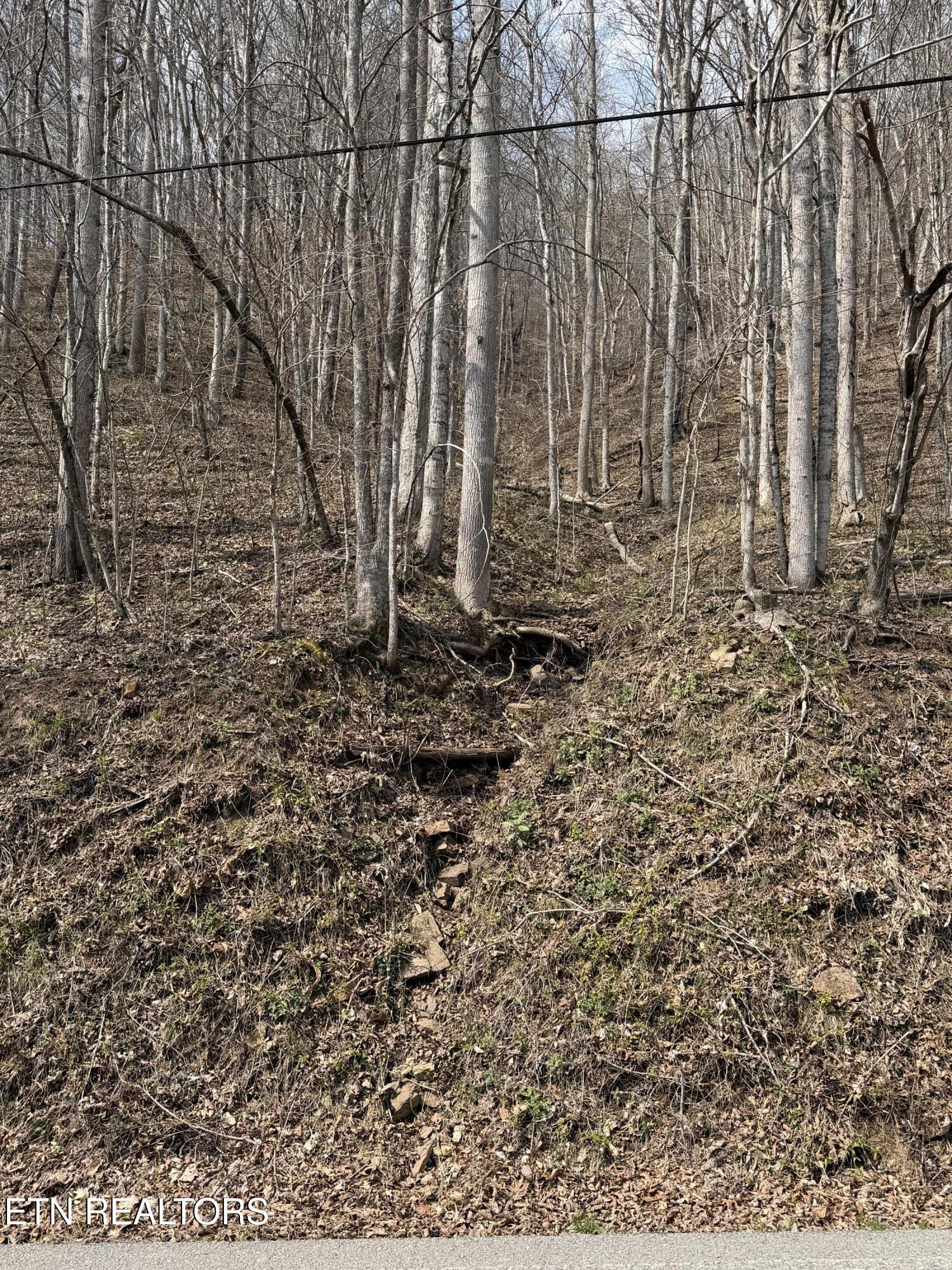 War Creek Road Thorn Hill TN 37881